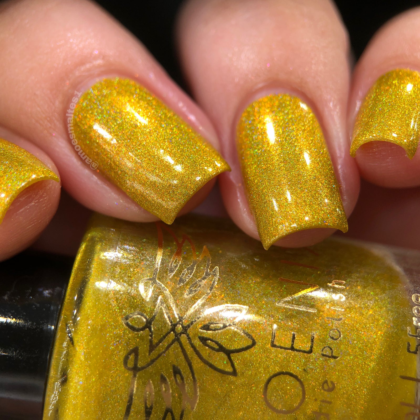 Phoenix- Blood and Fire- Sunfyre