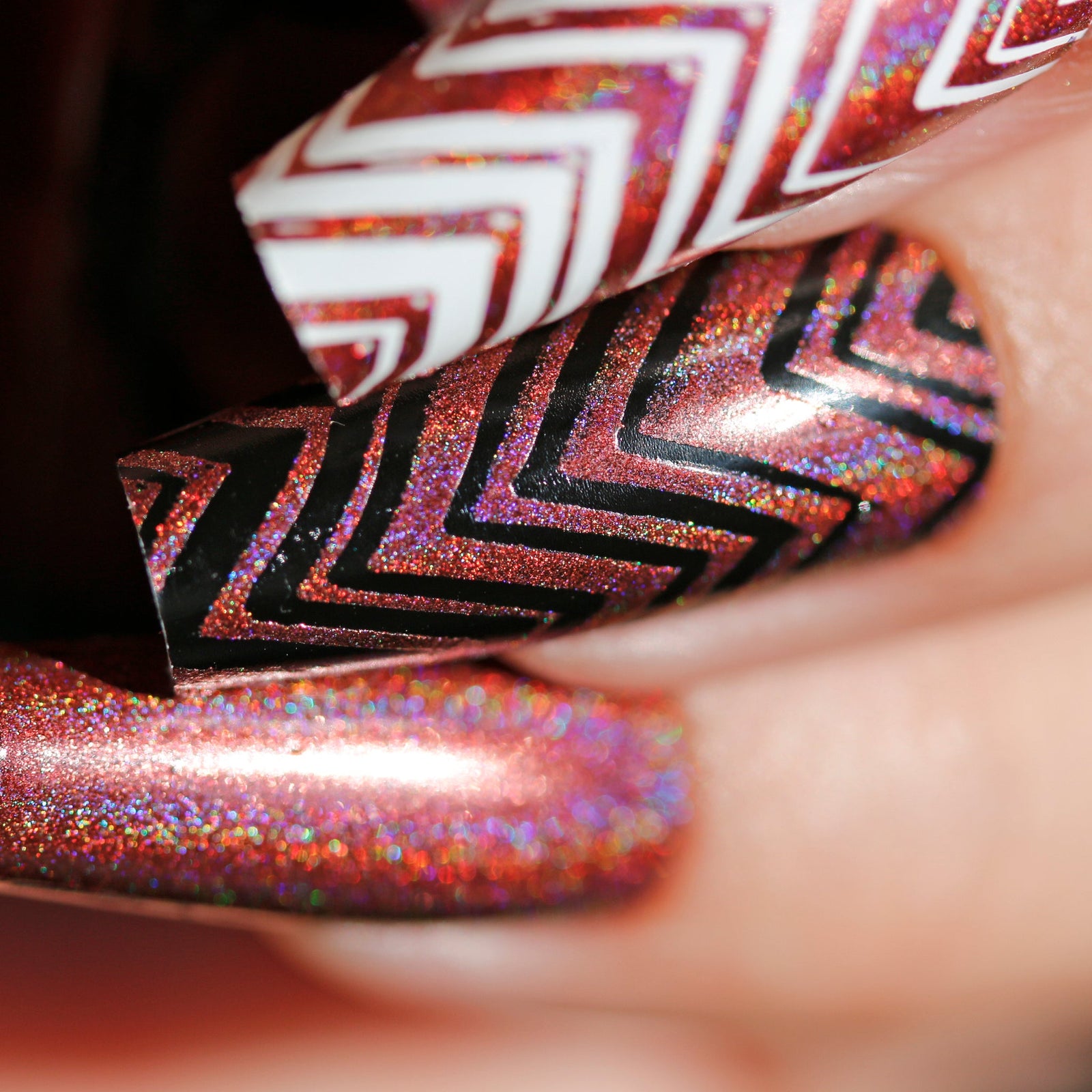 Phoenix- Holos- Carina