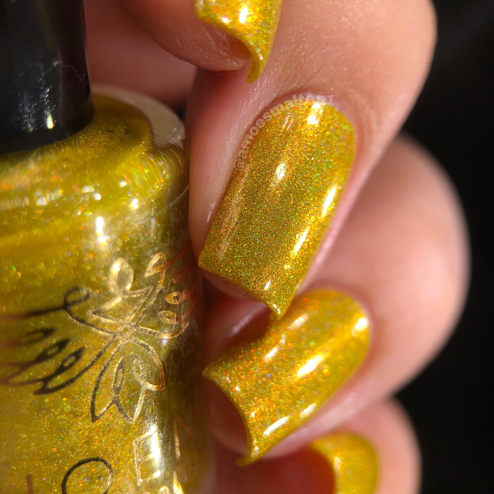 Phoenix- Blood and Fire- Sunfyre