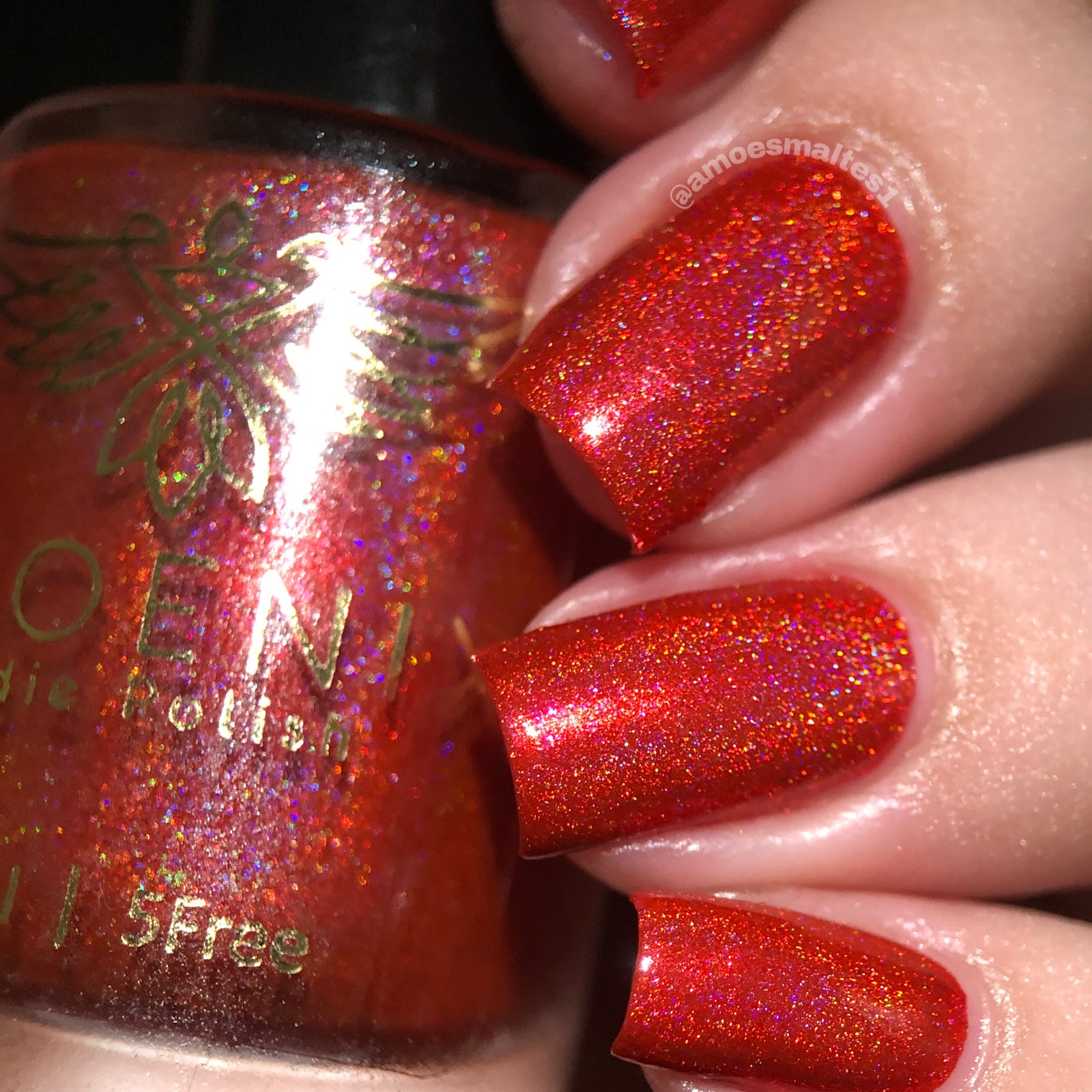 Phoenix- Blood and Fire- Meleys