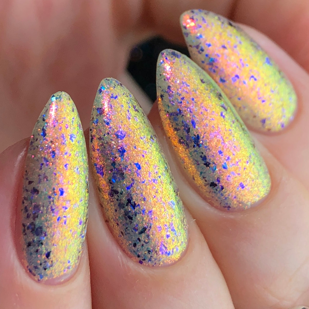 Phoenix- Light & Shadow- Midnight Wings