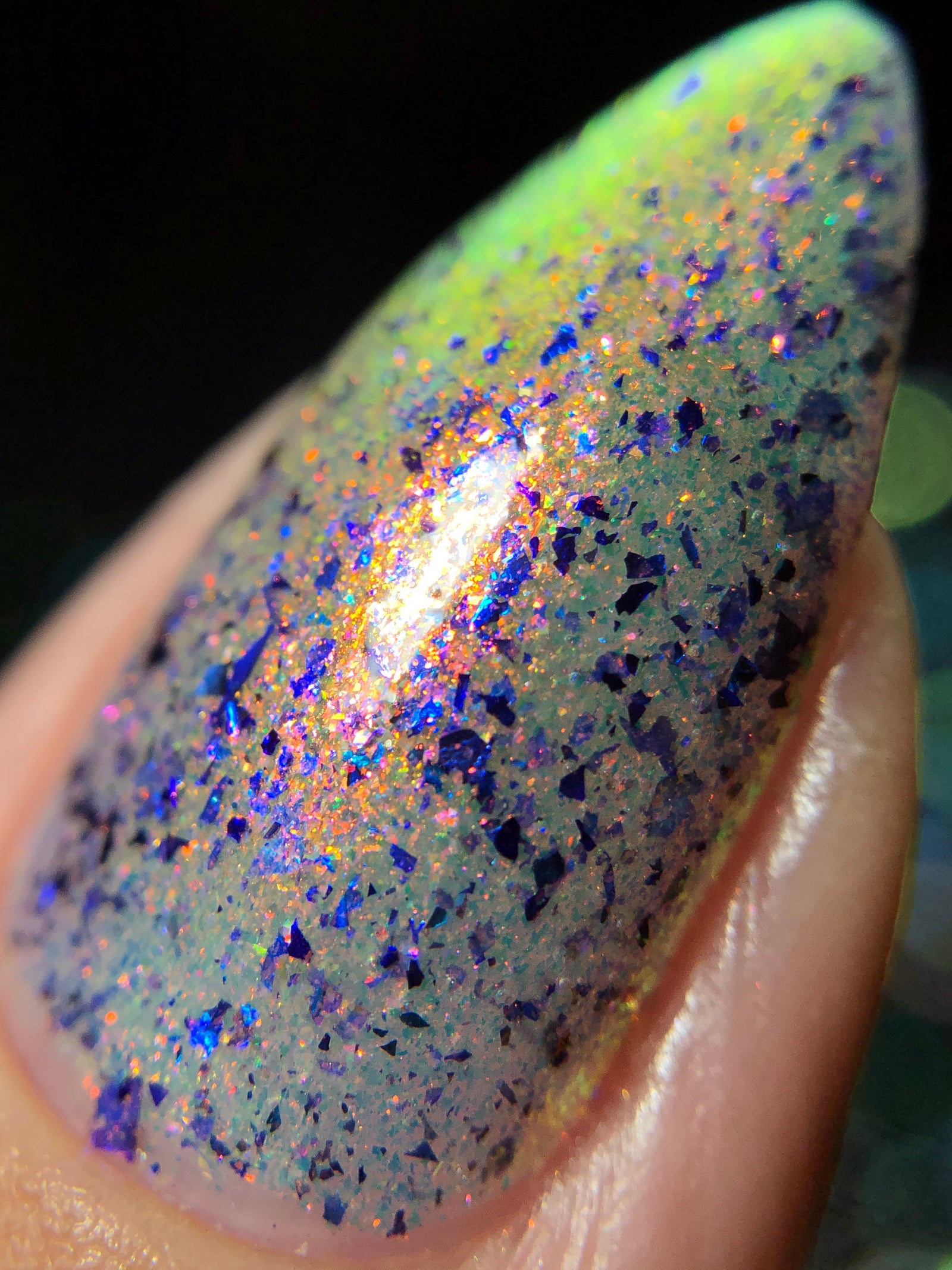 Phoenix- Light & Shadow- Midnight Wings