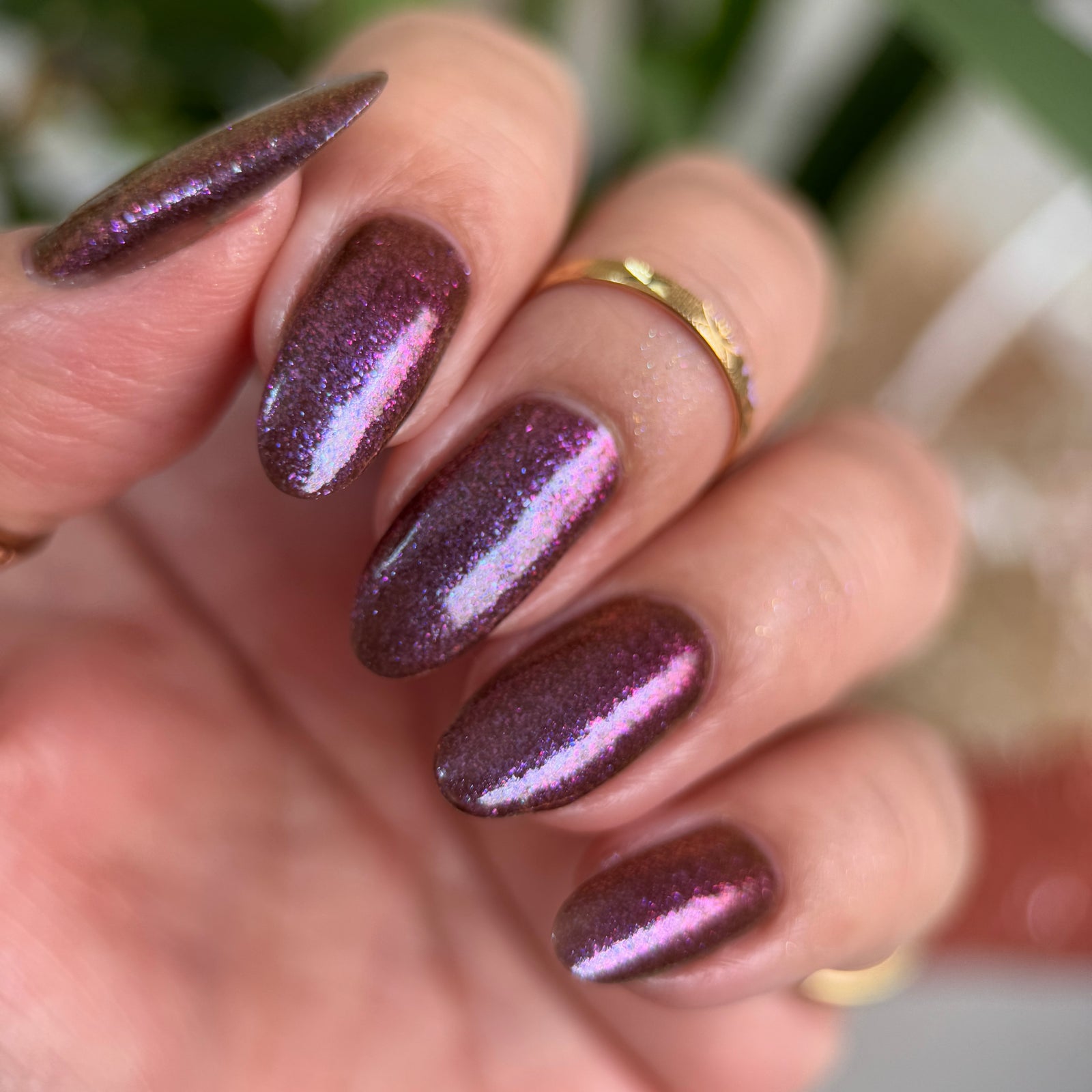 Phoenix- The Labyrinth- Ludo