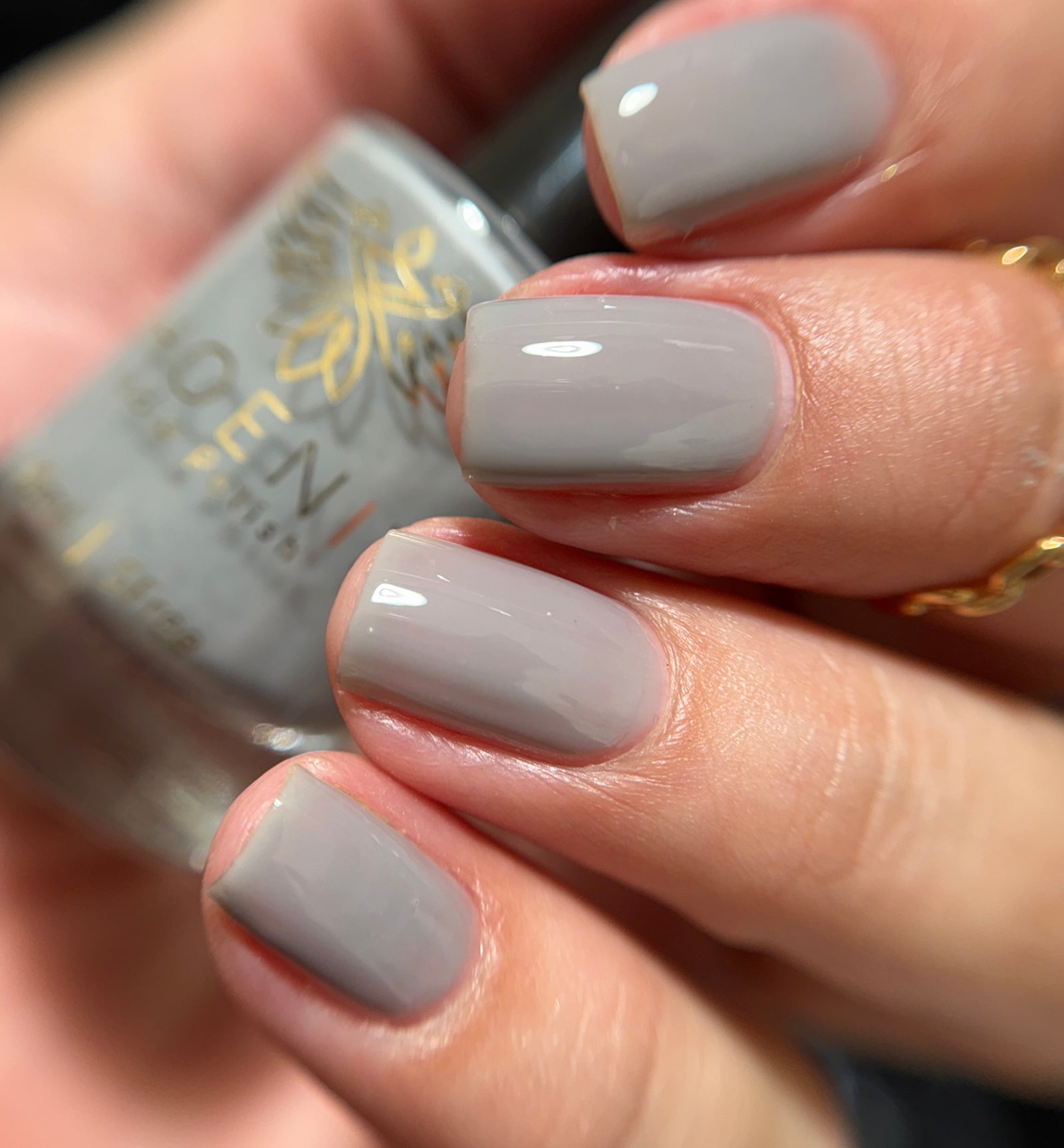 Phoenix- Blood and Fire- Laenor