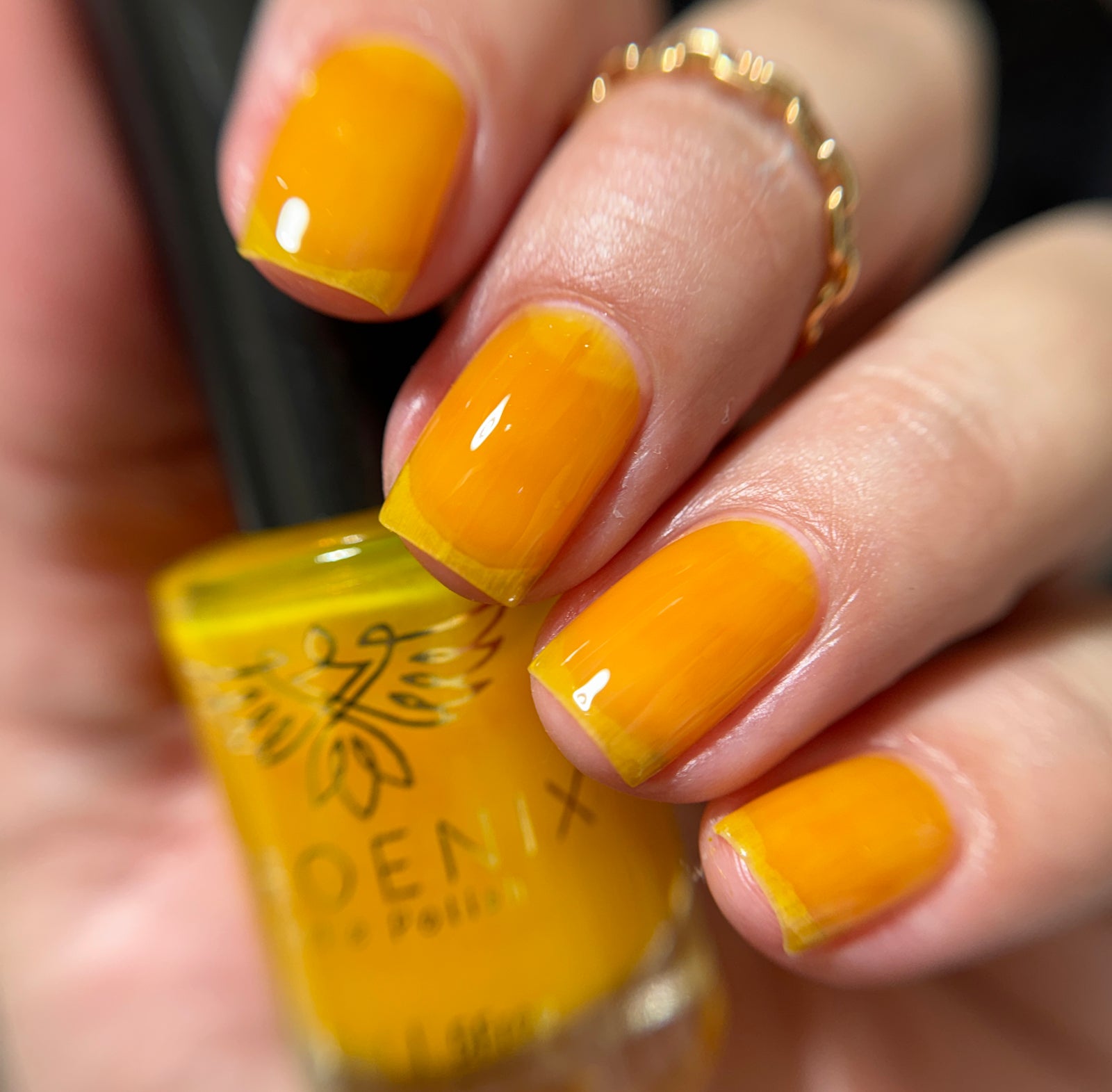 Phoenix- Blood and Fire- Aegon II