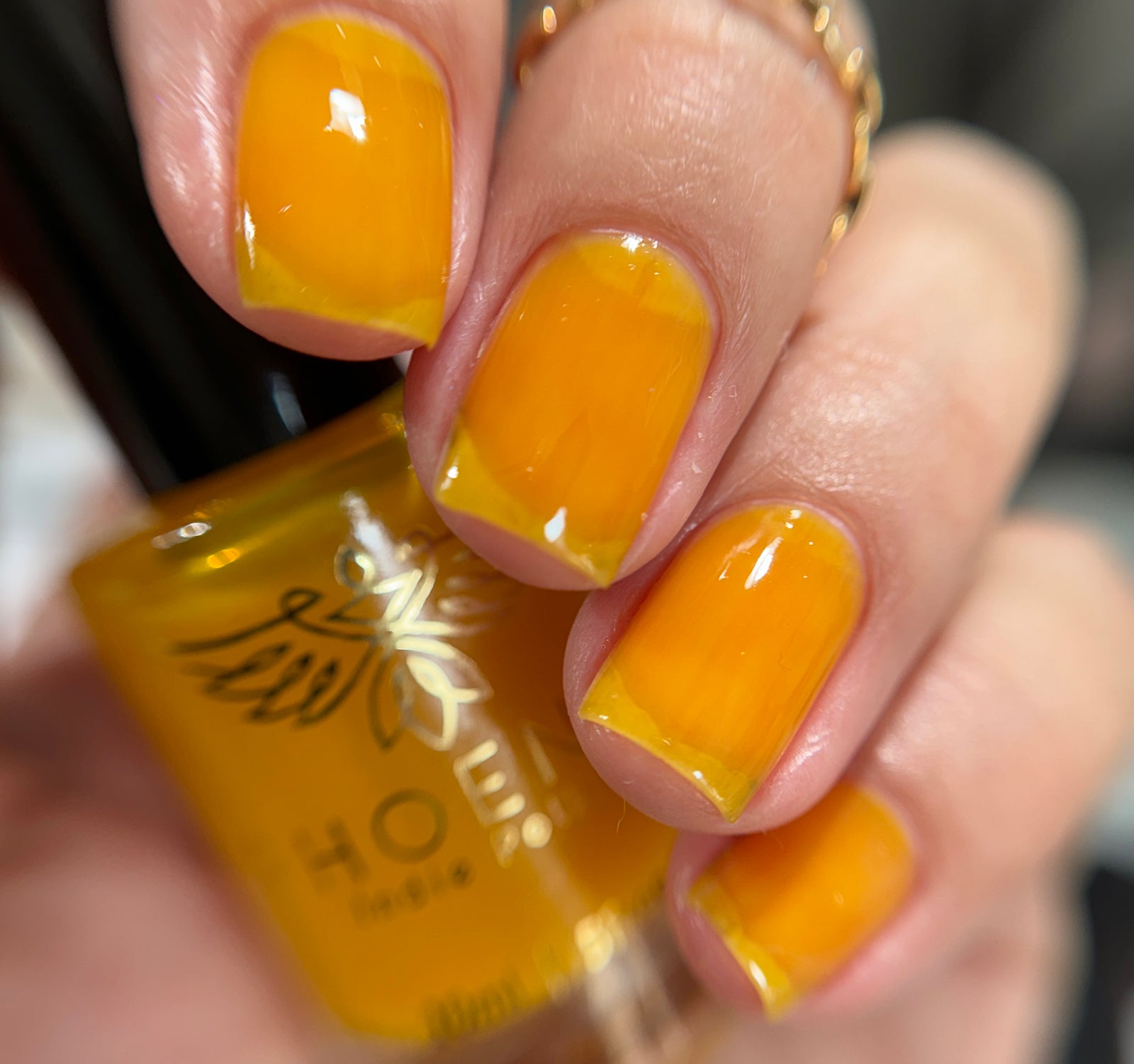 Phoenix- Blood and Fire- Aegon II