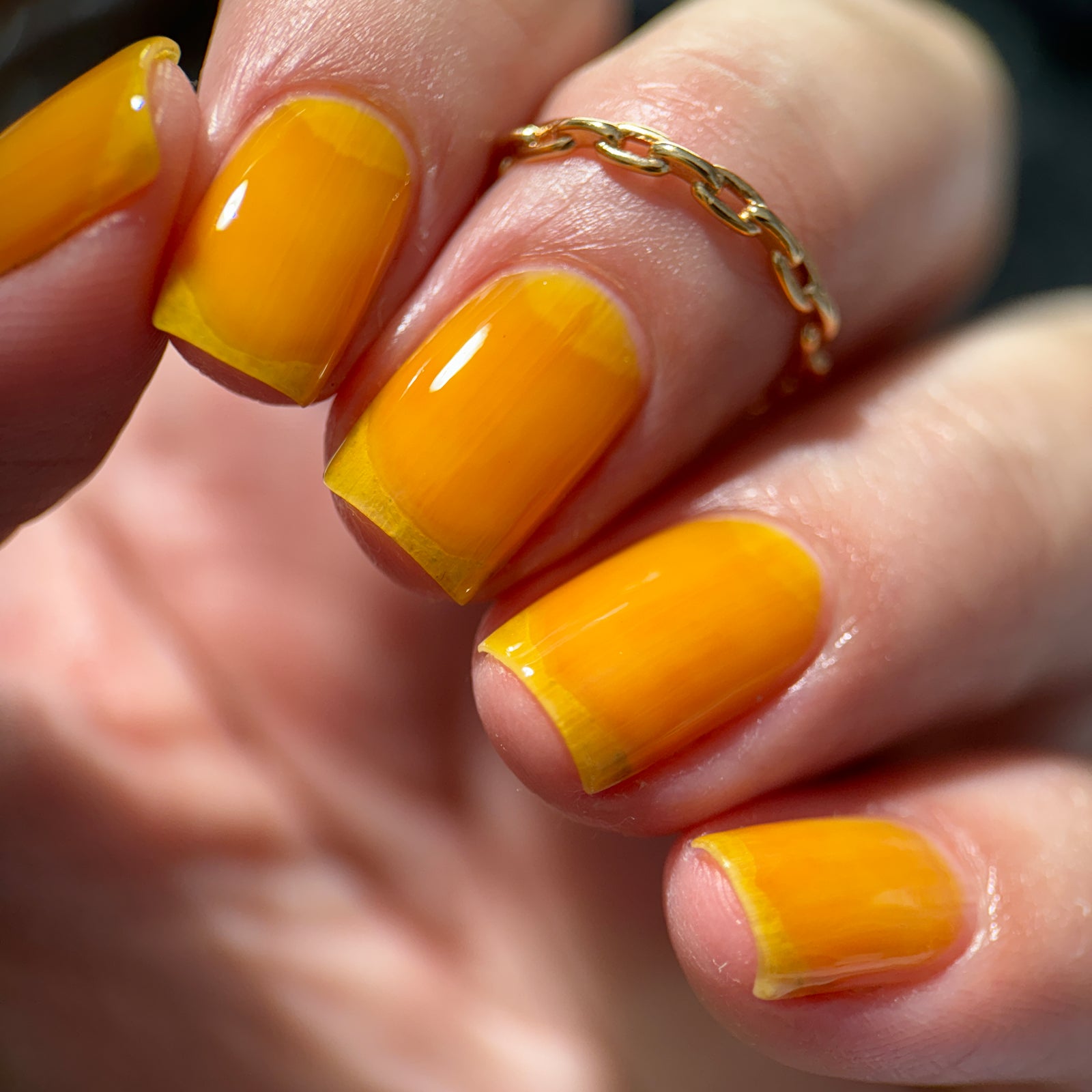 Phoenix- Blood and Fire- Aegon II