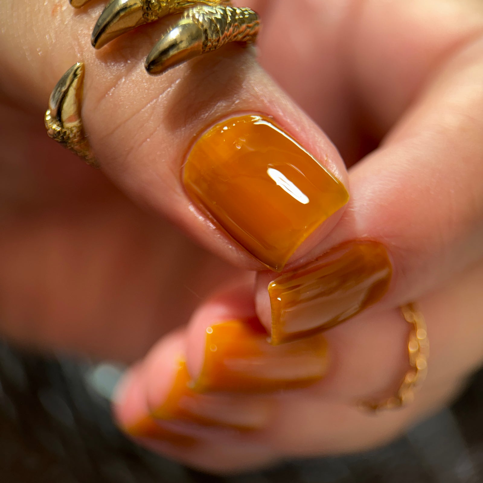 Phoenix- Blood and Fire- Rhaenyra