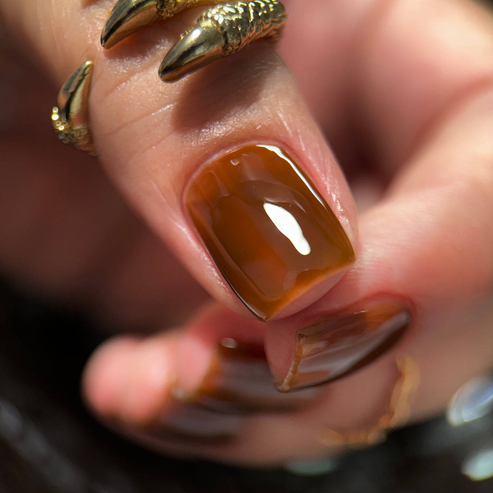 Phoenix- Blood and Fire- Daenerys