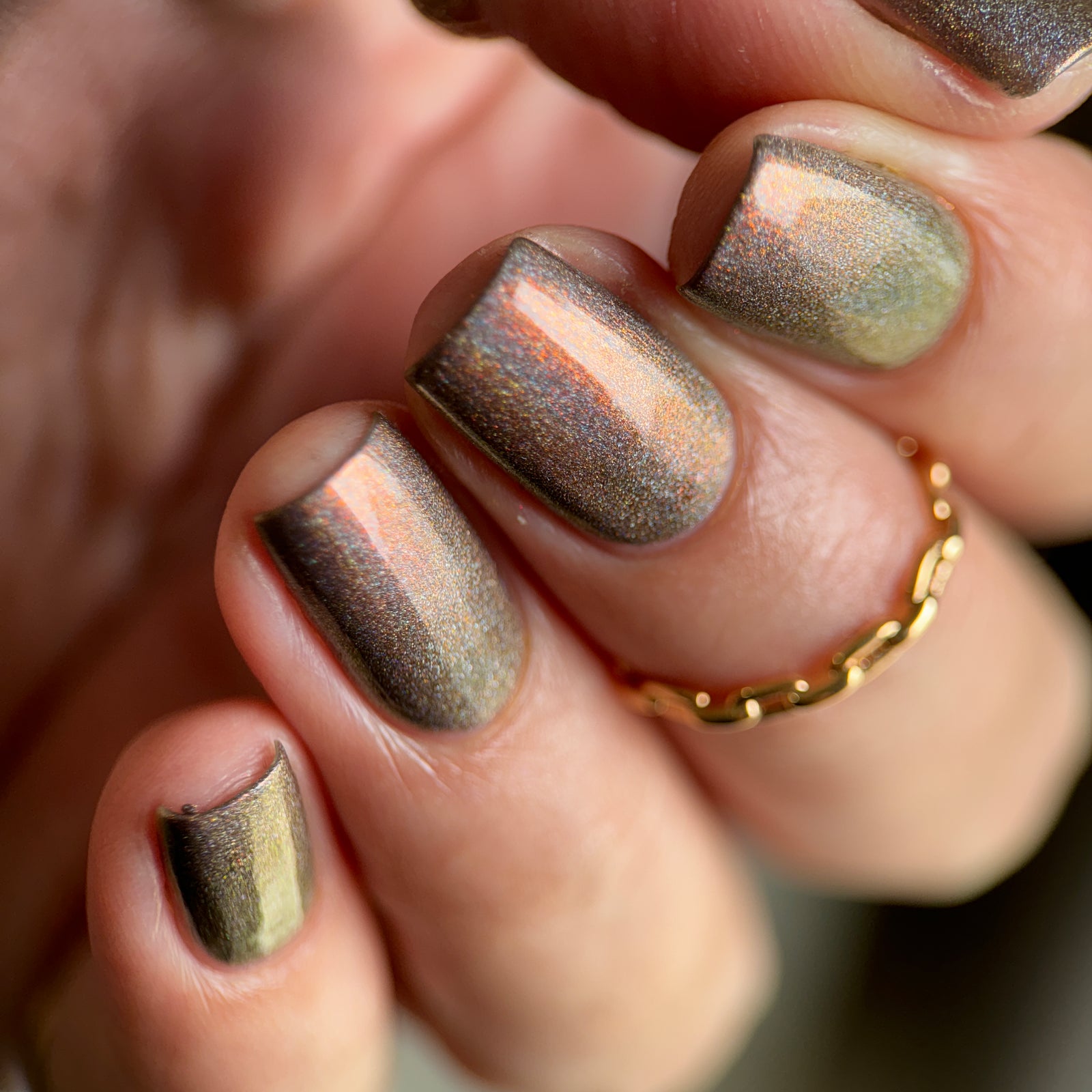 Phoenix- Blood and Fire- Vermithor