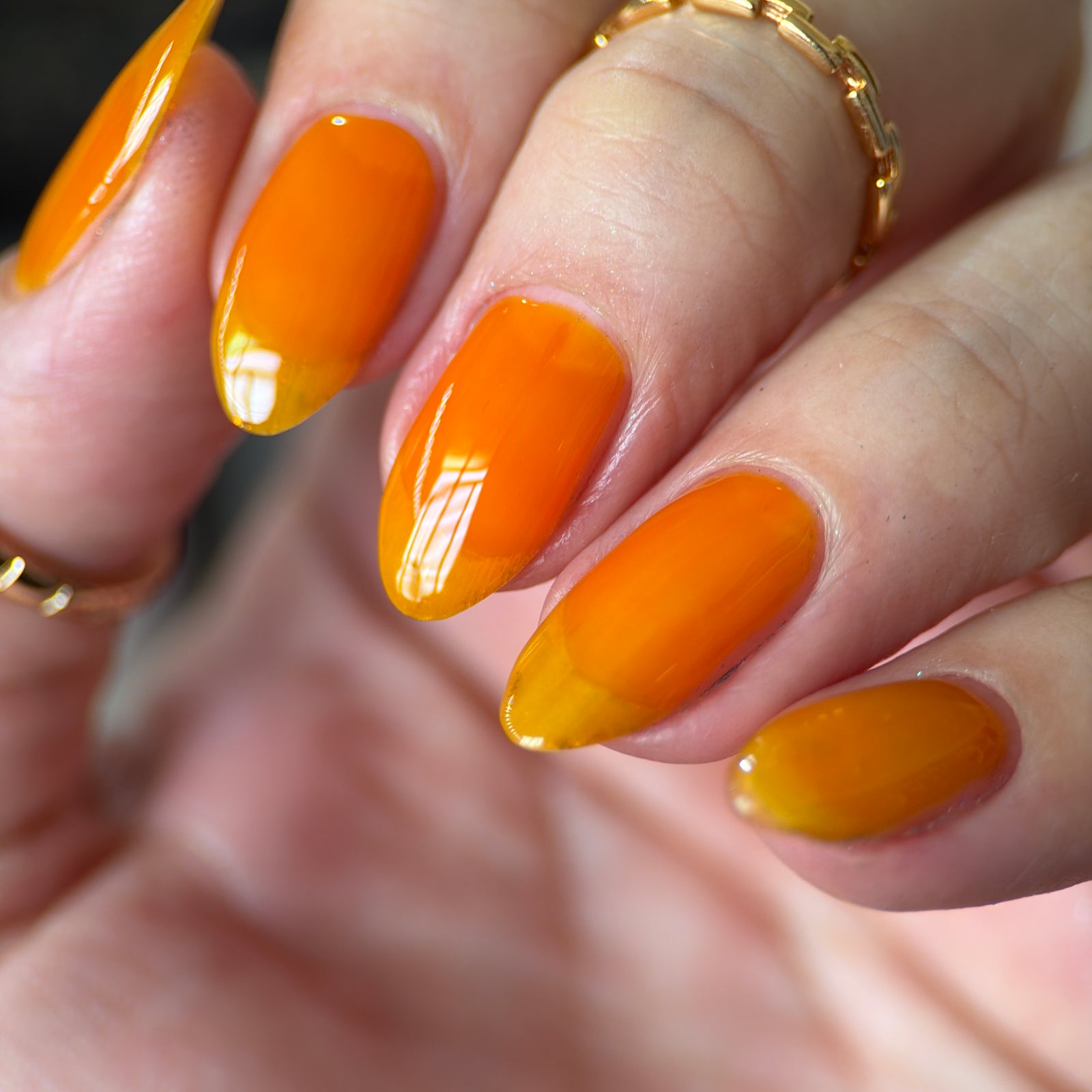 Phoenix- Jelly Dreams- Oran Jelly