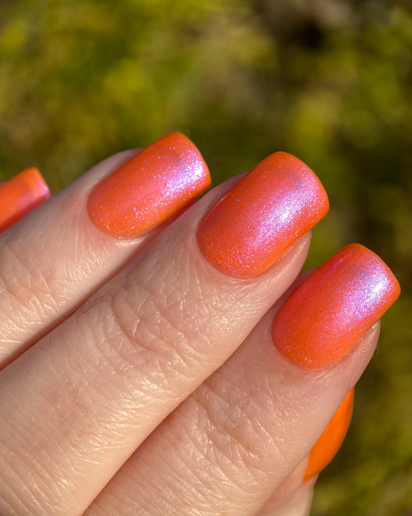 Phoenix- Paint the Town Red- Lucy