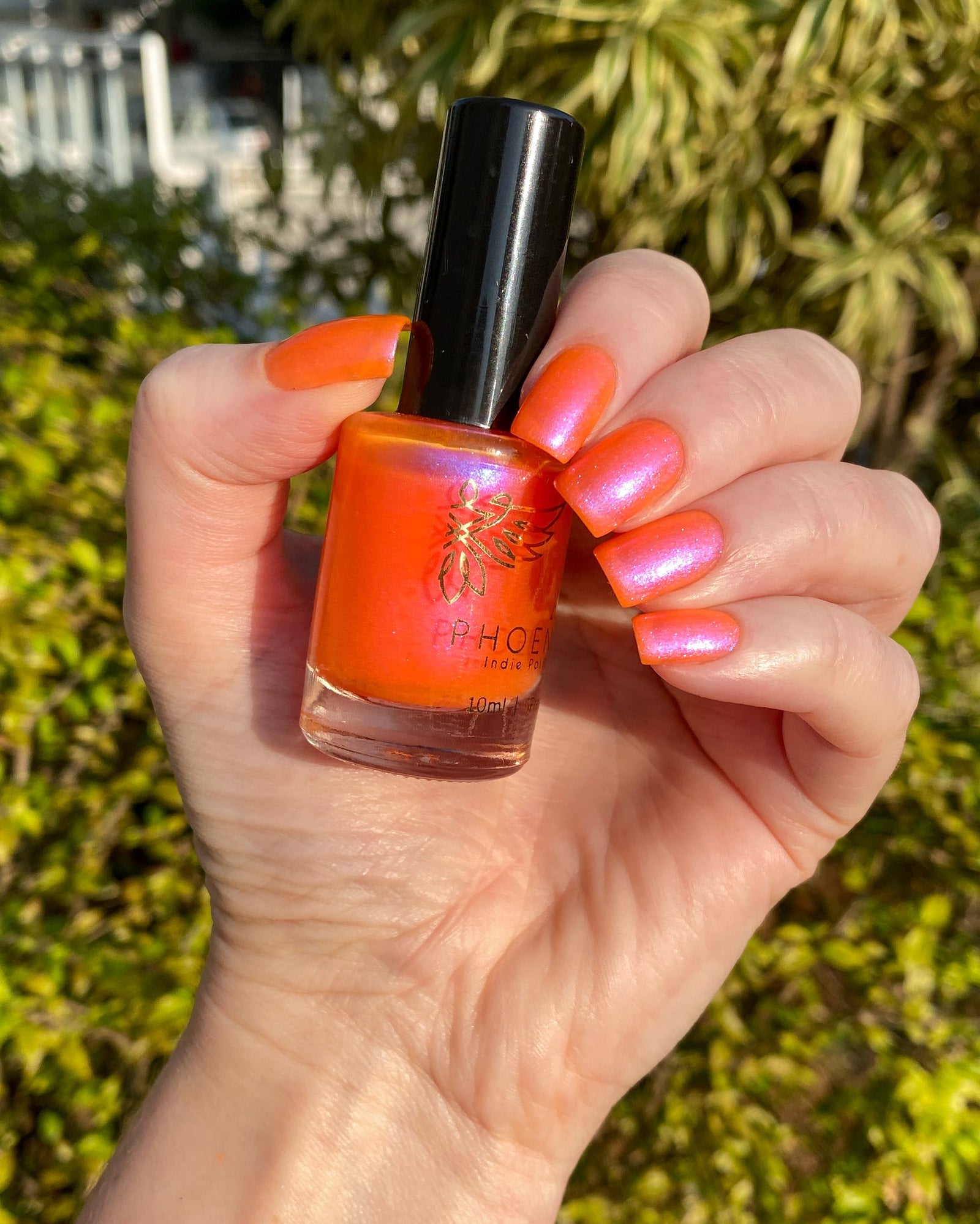 Phoenix- Paint the Town Red- Lucy