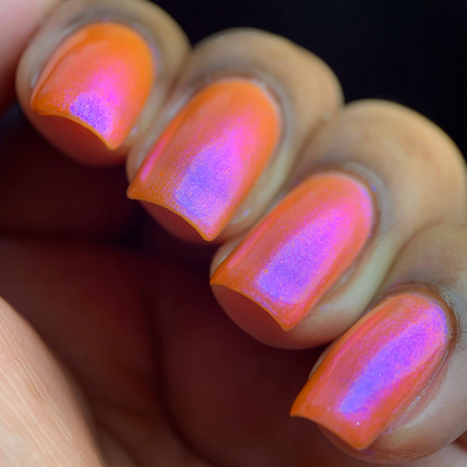 Phoenix- Paint the Town Red- Lucy