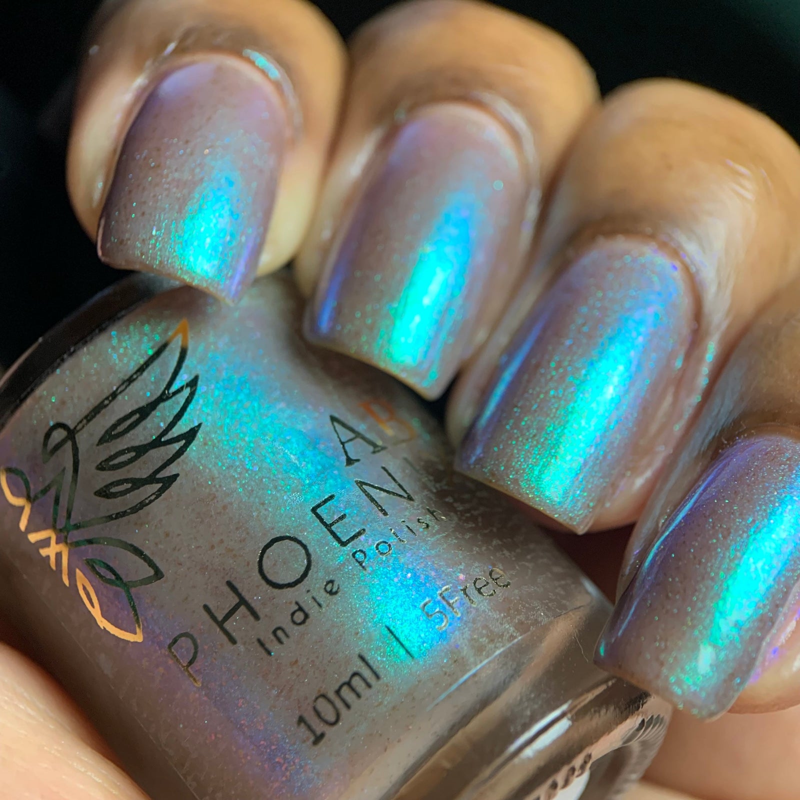 Phoenix- Paint the Town Red- Stefan