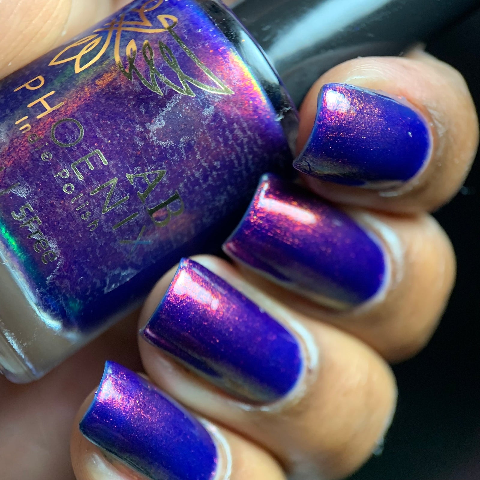 Phoenix- Paint the Town Red- Elijah