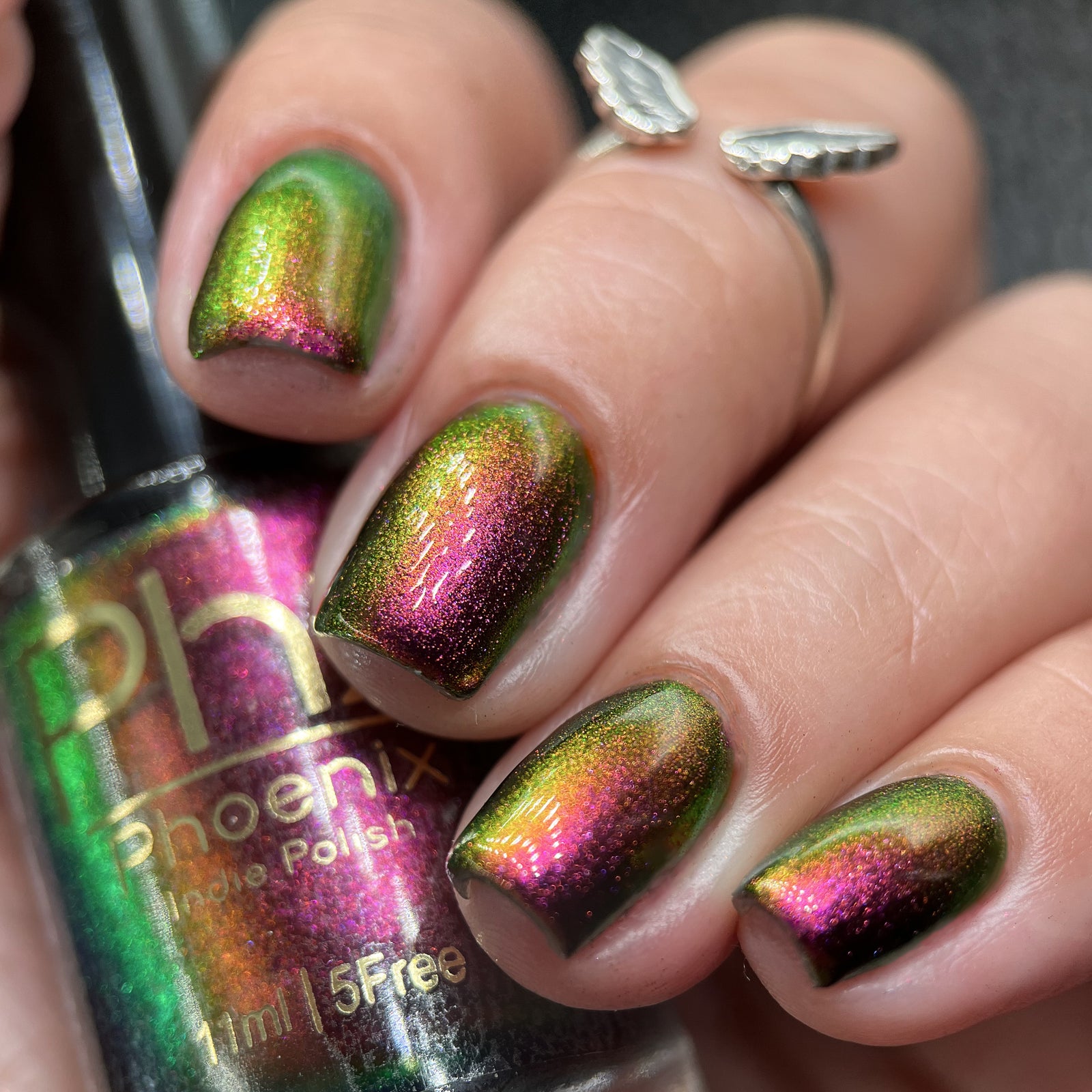 Phoenix- Hummingbirds- Broad Tiled Hummingbird