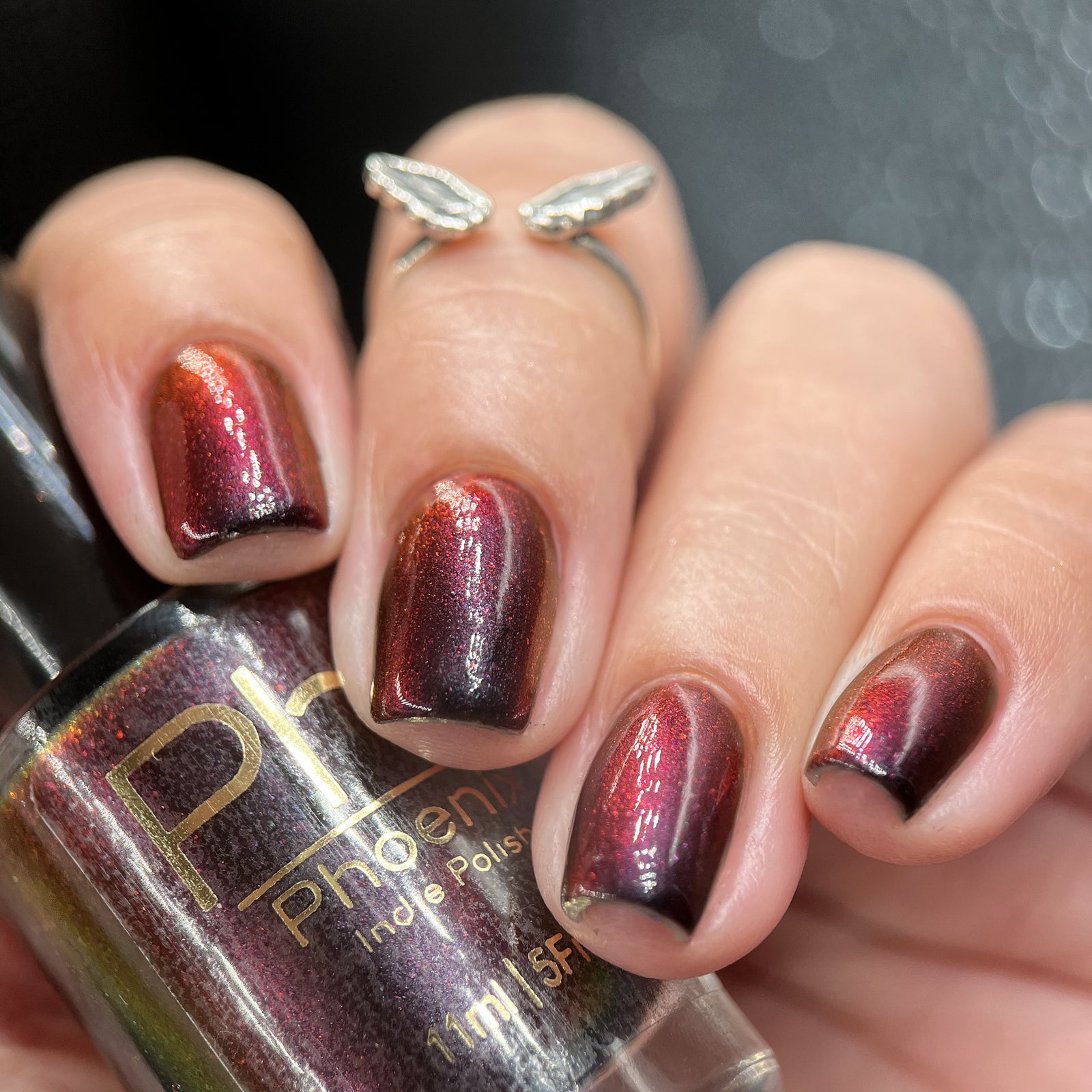 Phoenix- Hummingbirds- Florisuga Fusca