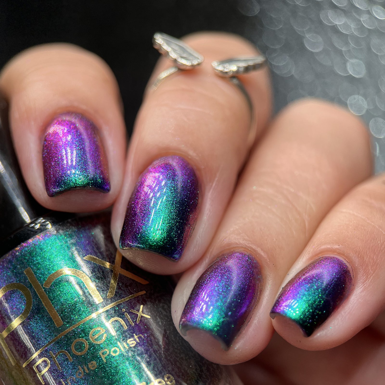 Phoenix- Hummingbirds- Violet Sabrewing Hummingbird