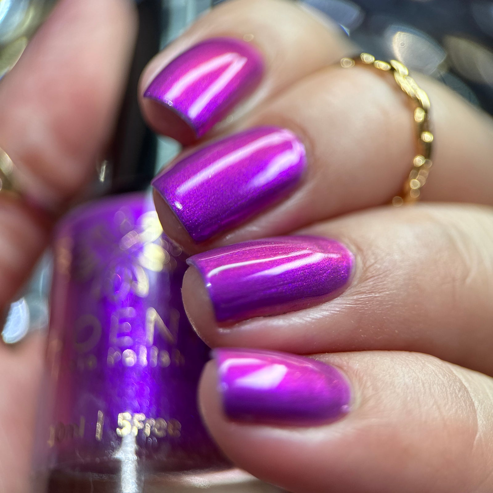 Phoenix- A Special Christmas- Raise Your Hands