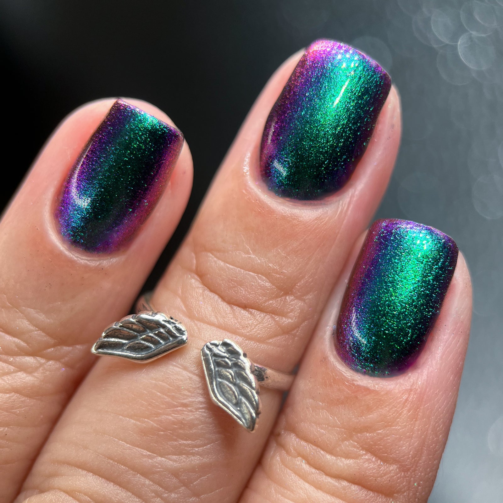 Phoenix- Hummingbirds- Violet Sabrewing Hummingbird