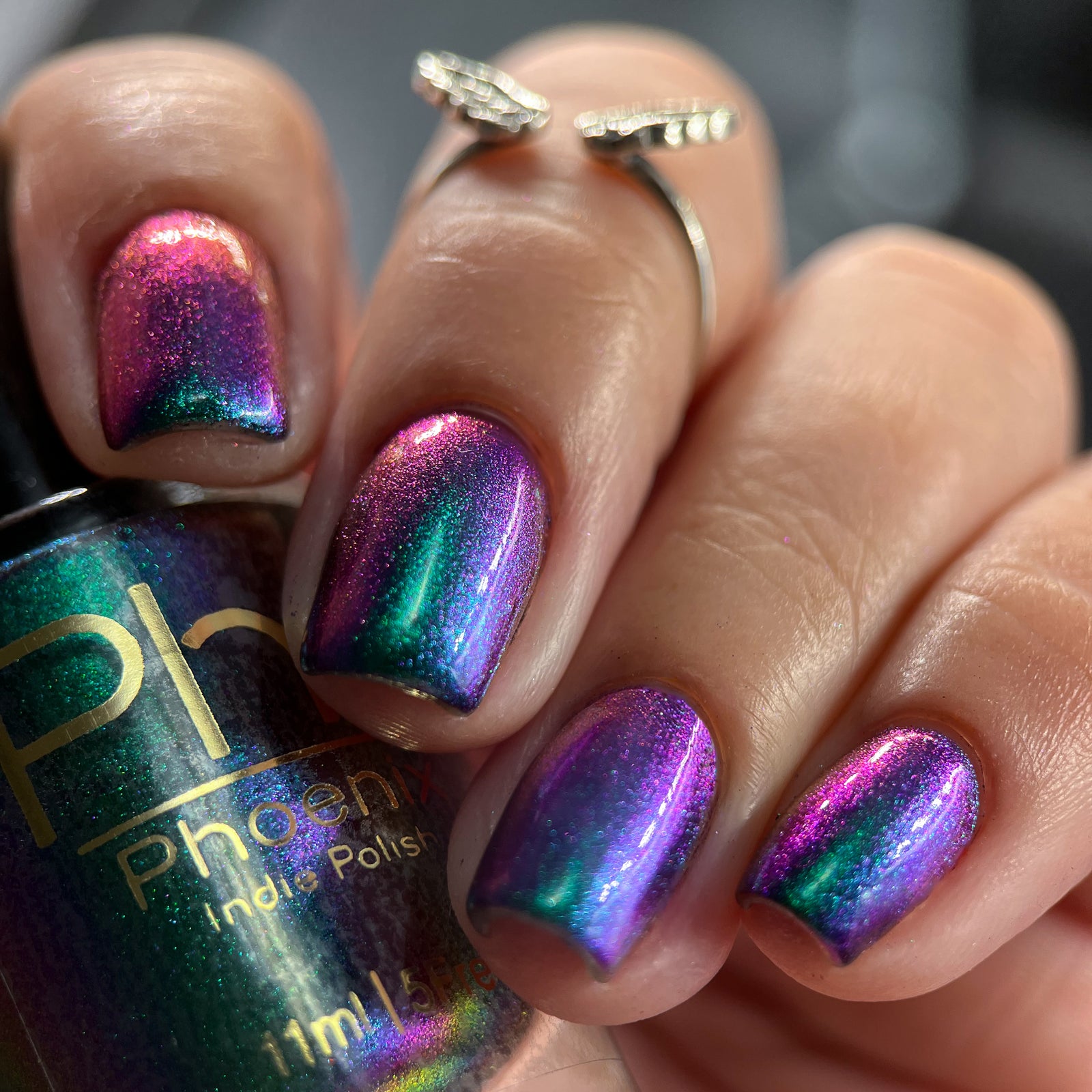 Phoenix- Hummingbirds- Violet Sabrewing Hummingbird