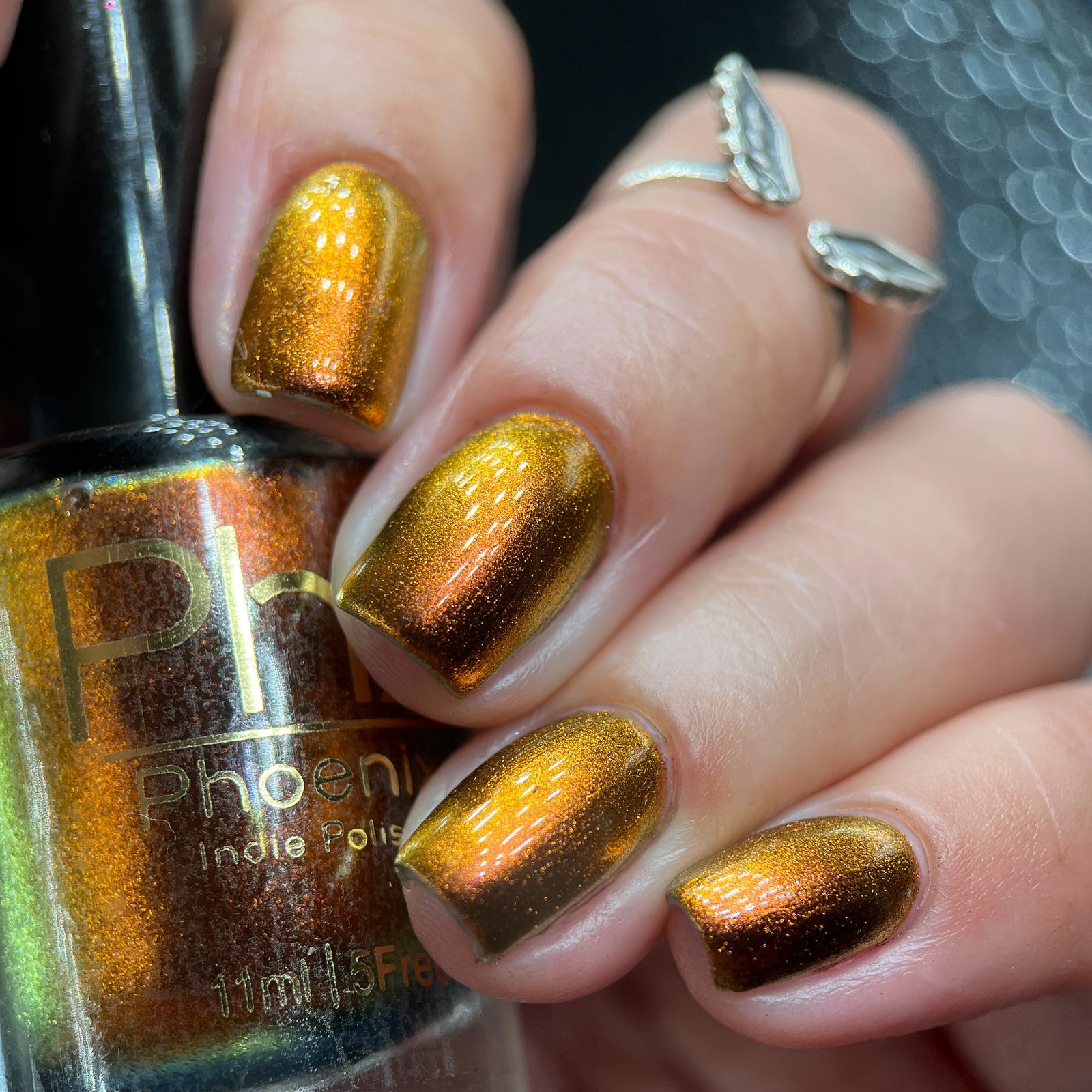 Phoenix- Hummingbirds- Rufous Hummingbird