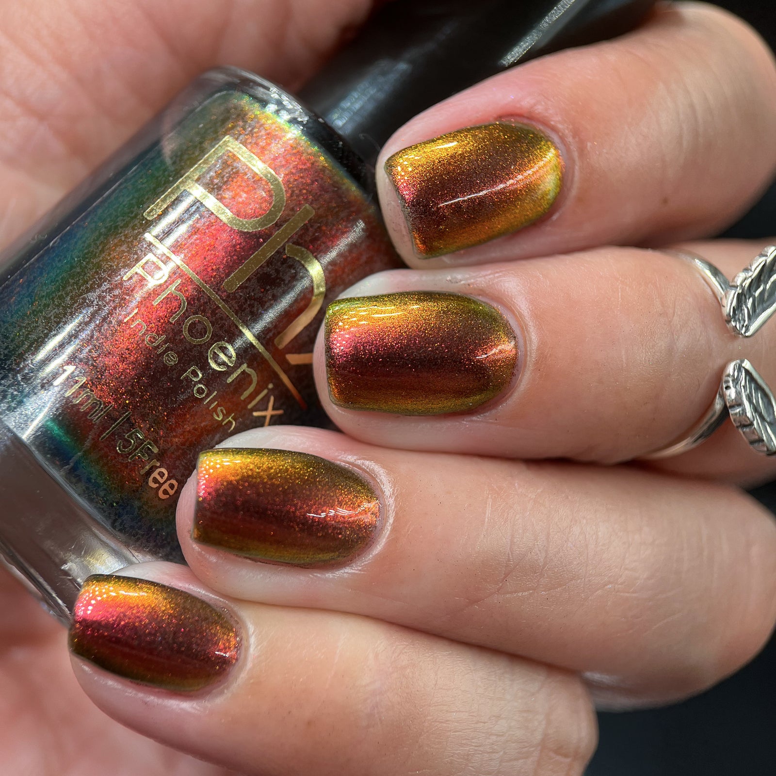 Phoenix- Hummingbirds- Stripe Tailed Hummingbird