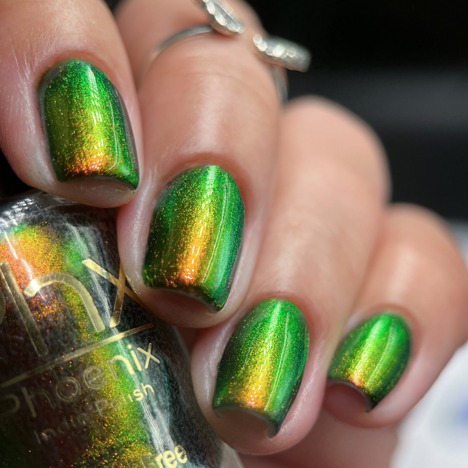 Phoenix- Hummingbirds- Ruby Throated Hummingbird