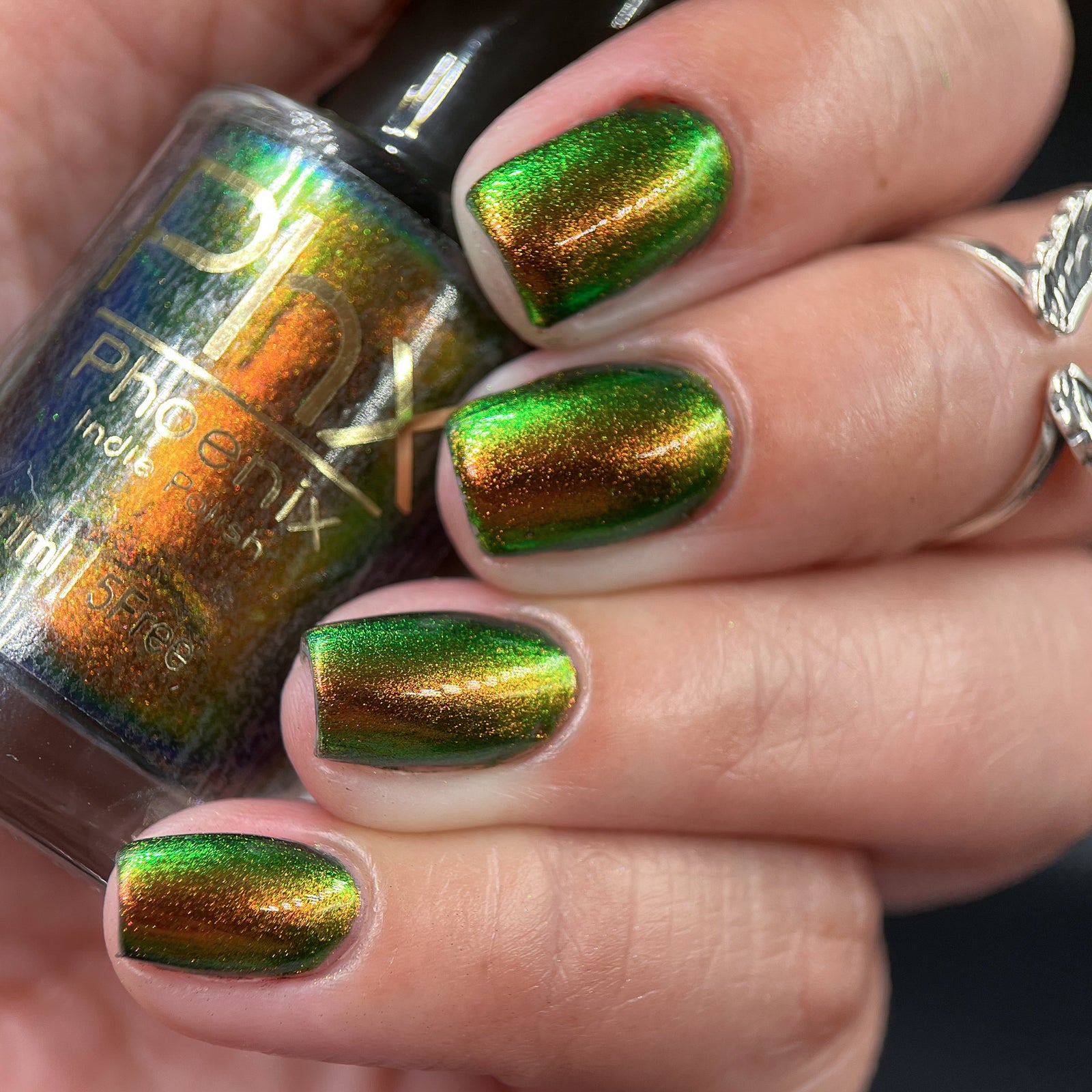 Phoenix- Hummingbirds- Ruby Throated Hummingbird