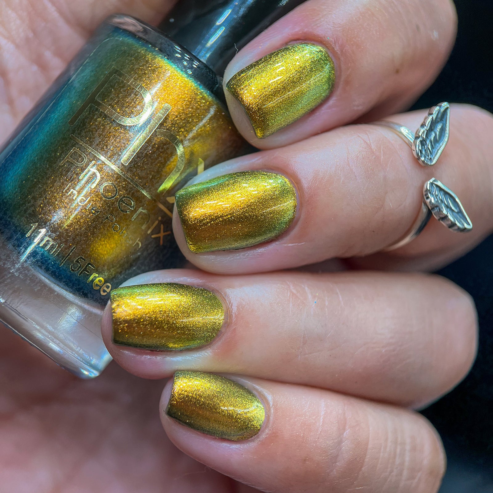 Phoenix- Hummingbirds- Golden Bellied Starfrontlet