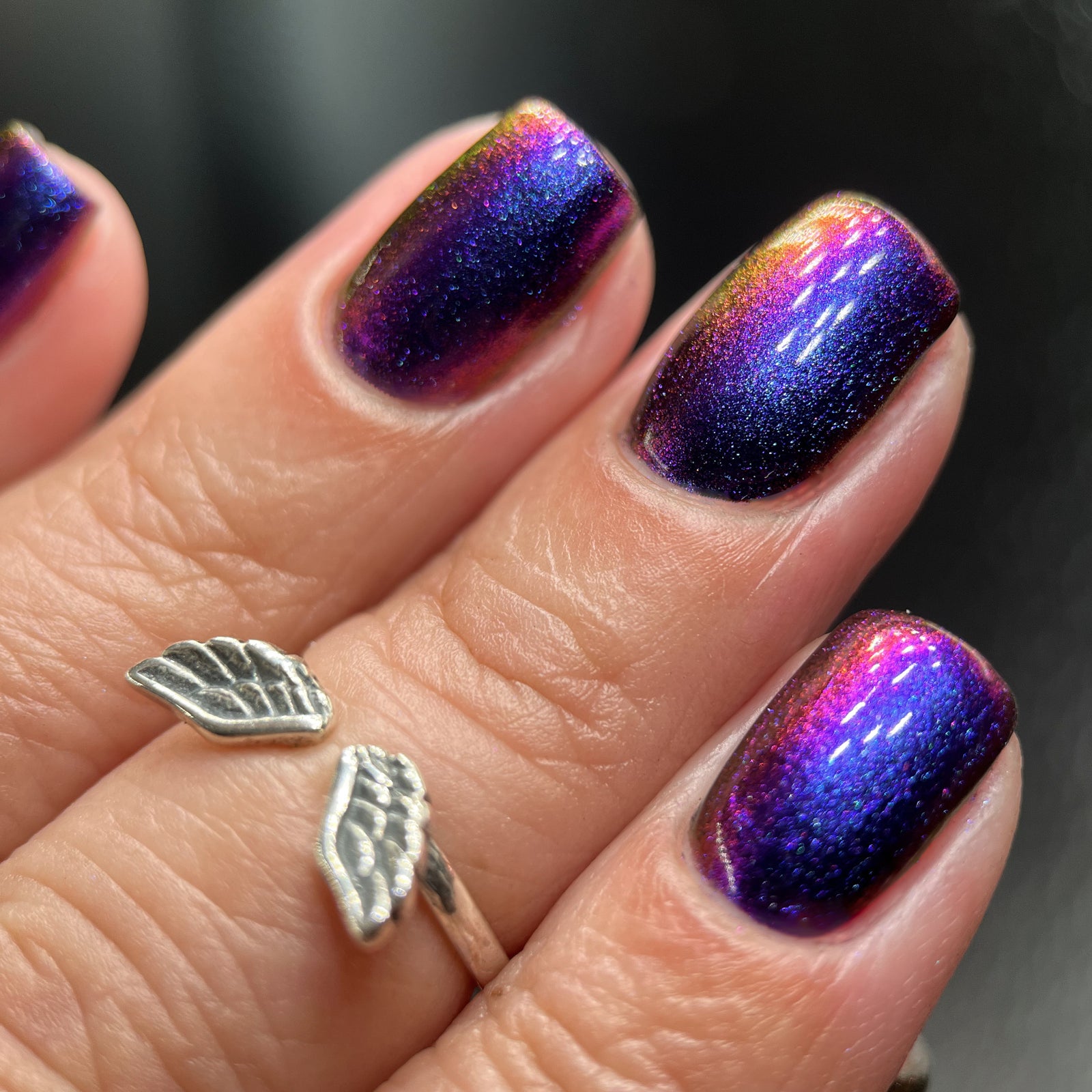 Phoenix- Hummingbirds- Garnet Throated Hummingbird