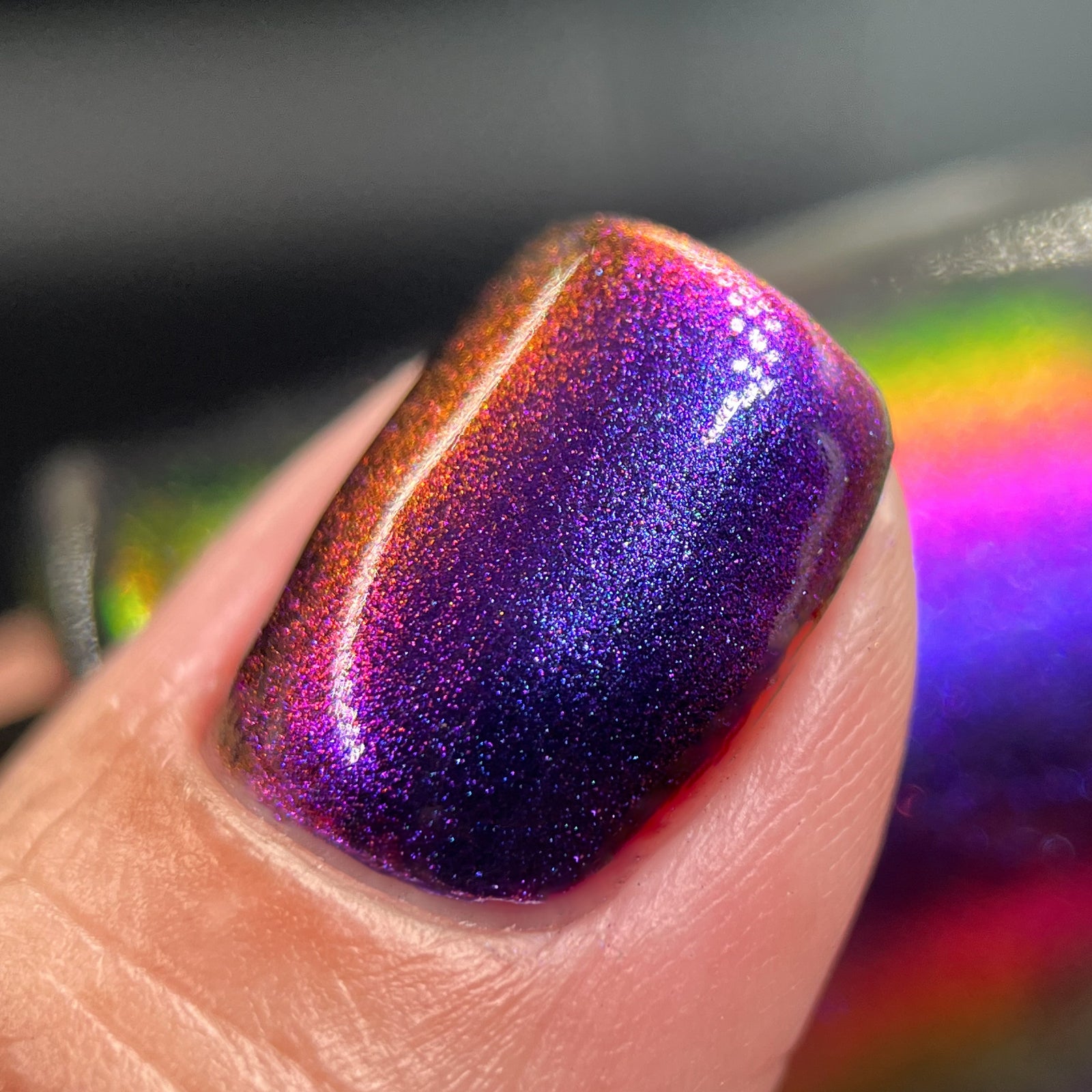 Phoenix- Hummingbirds- Garnet Throated Hummingbird