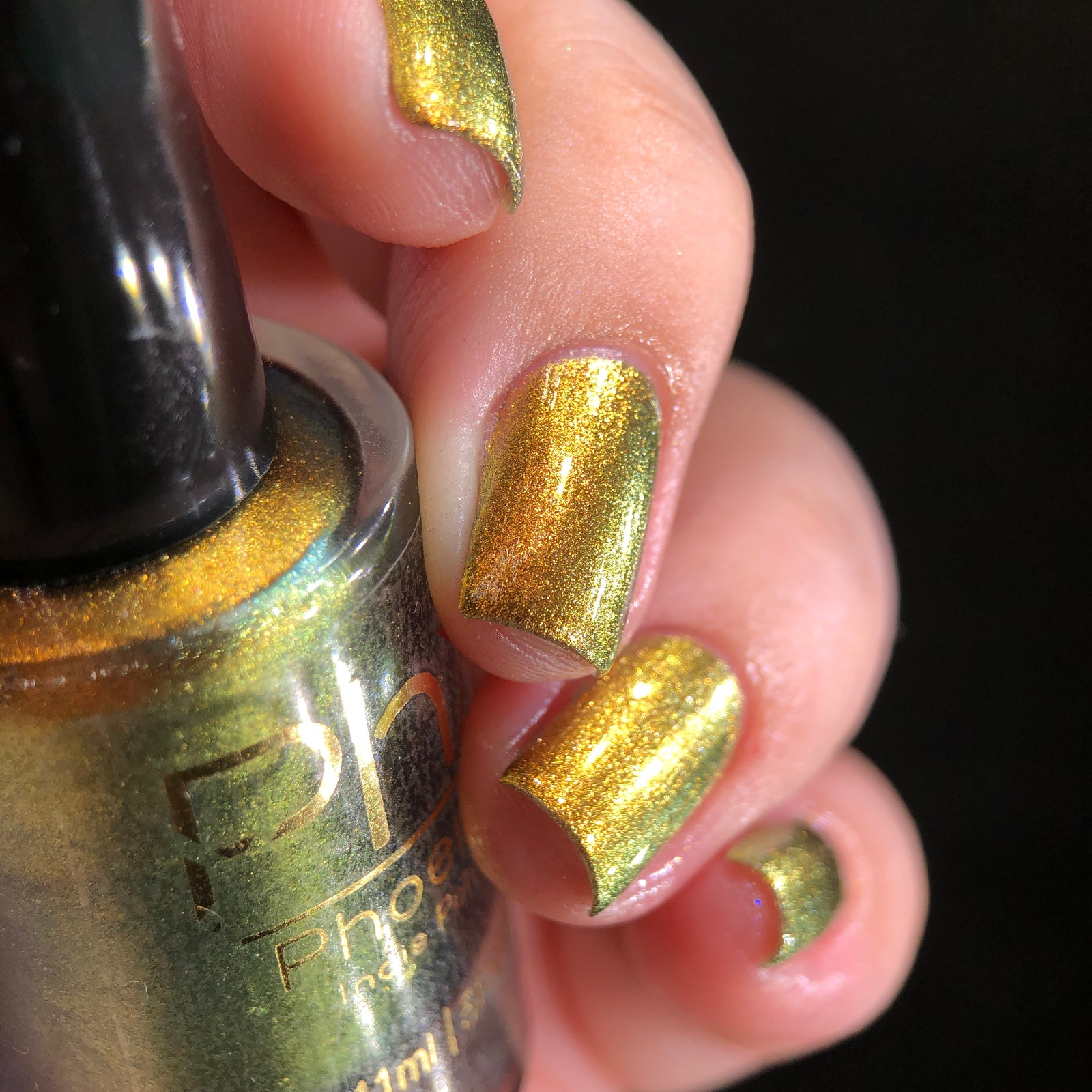 Phoenix- Hummingbirds- Golden Bellied Starfrontlet