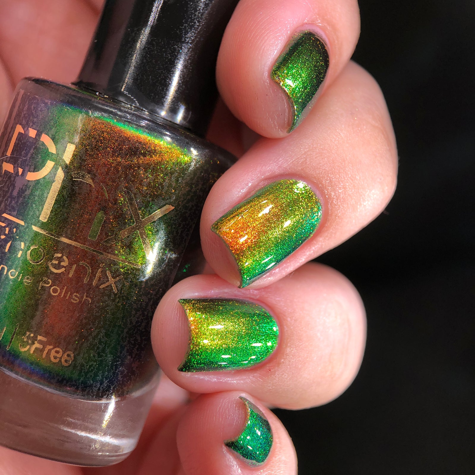 Phoenix- Hummingbirds- Ruby Throated Hummingbird