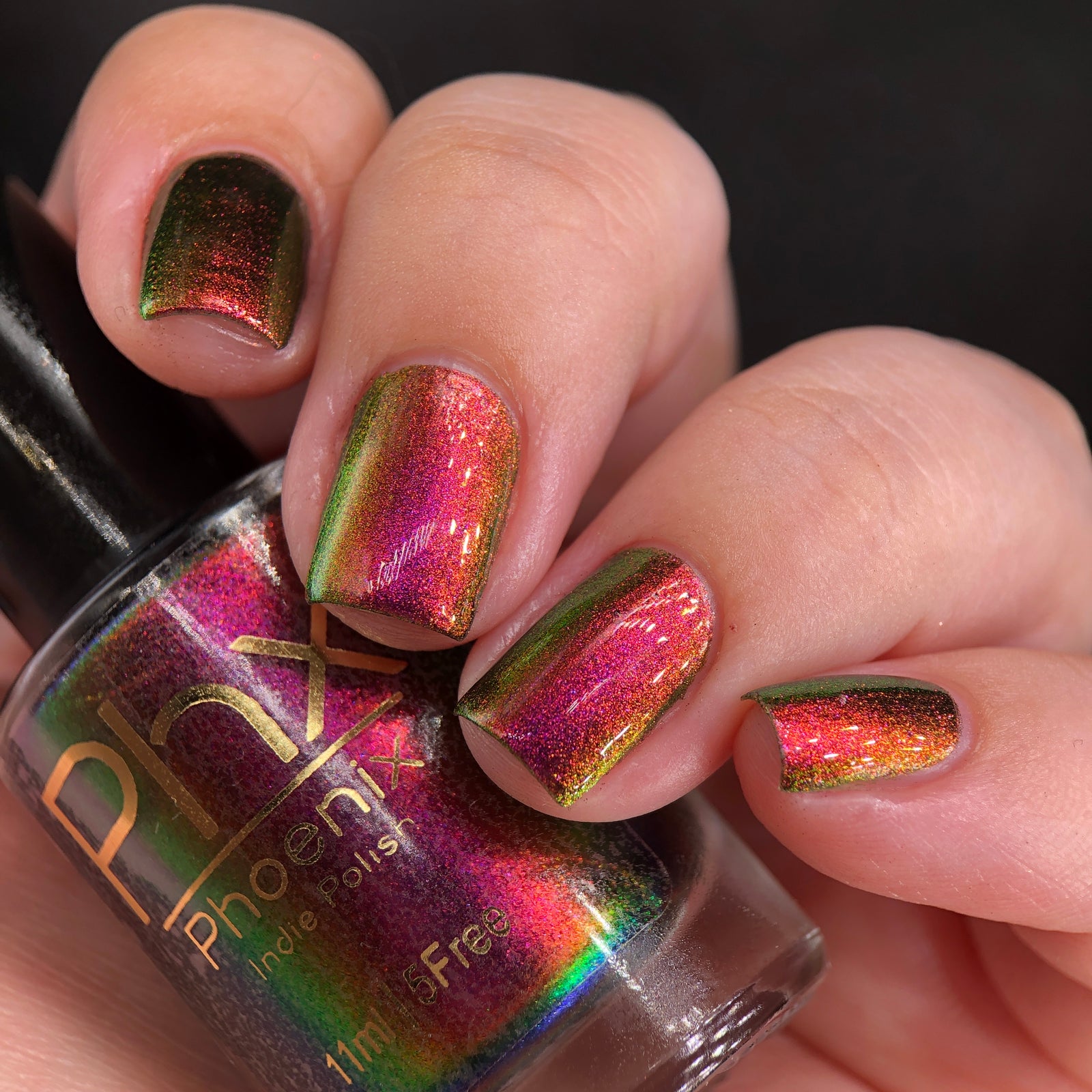 Phoenix- Hummingbirds- Broad Tiled Hummingbird