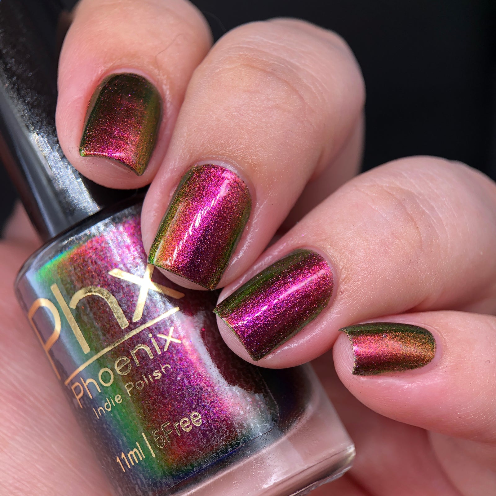 Phoenix- Hummingbirds- Broad Tiled Hummingbird