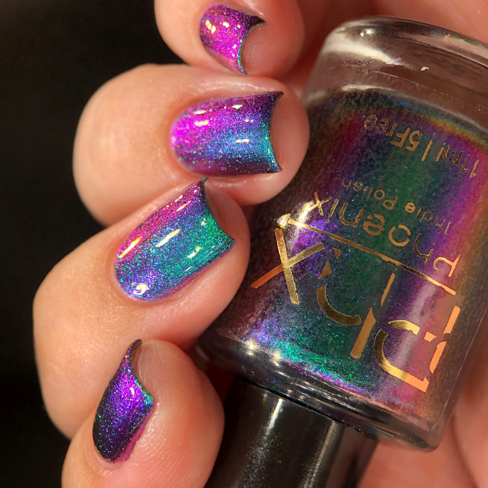 Phoenix- Hummingbirds- Violet Sabrewing Hummingbird