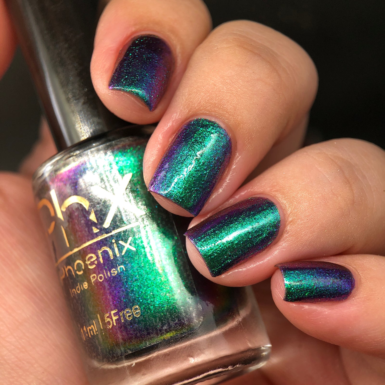 Phoenix- Hummingbirds- Violet Sabrewing Hummingbird