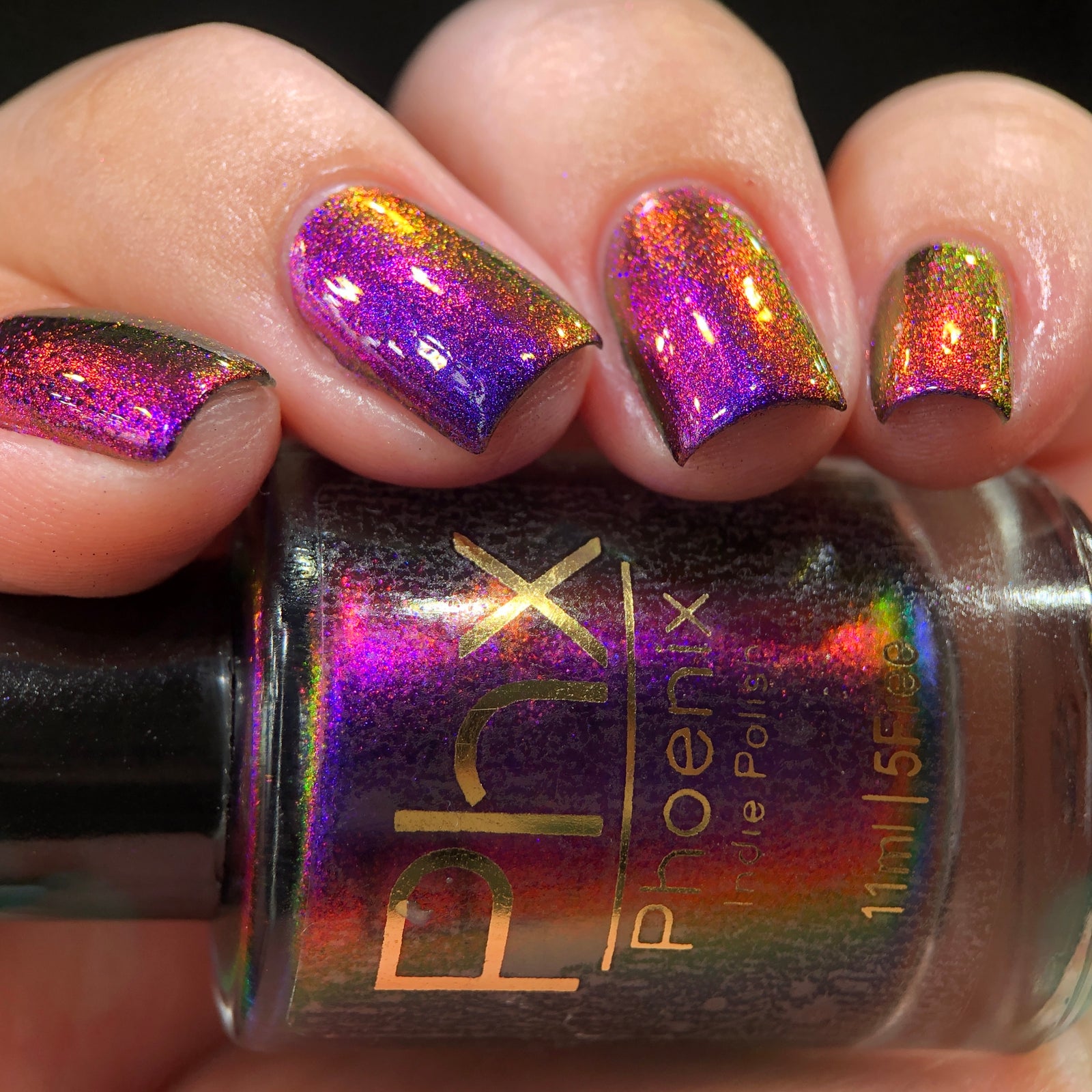 Phoenix- Hummingbirds- Costa's Hummingbird