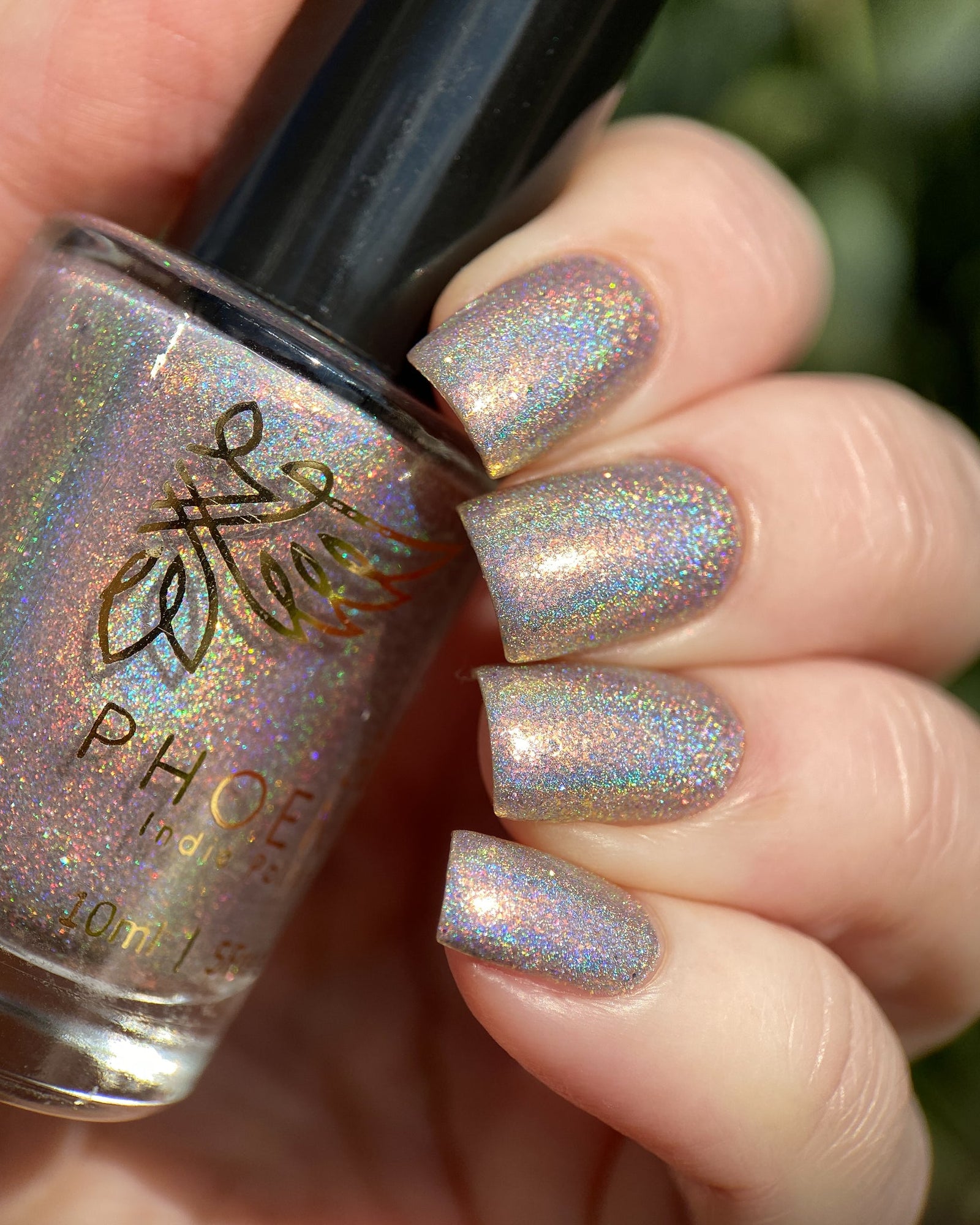 Phoenix- Paint the Town Red- Edward