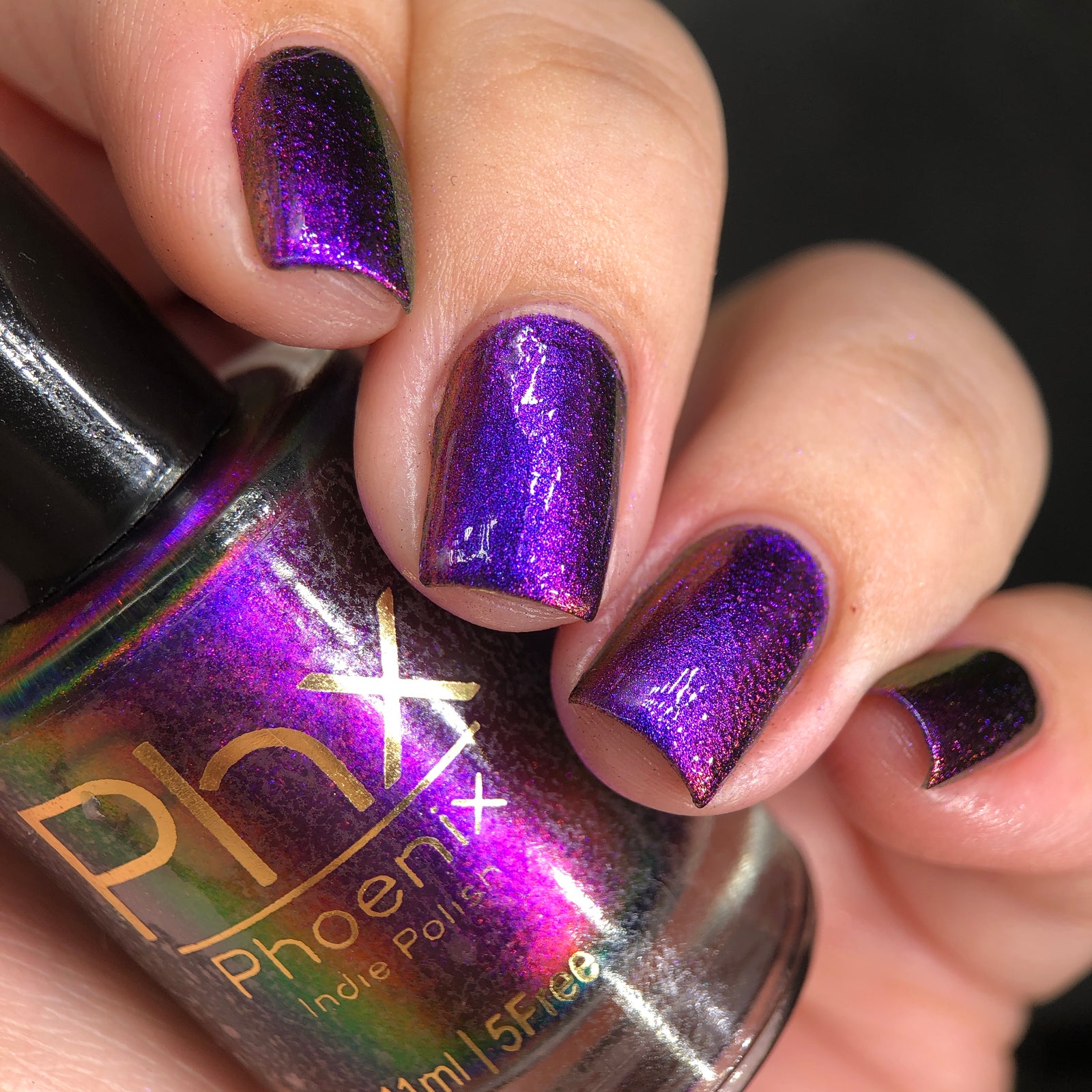 Phoenix- Hummingbirds- Costa's Hummingbird