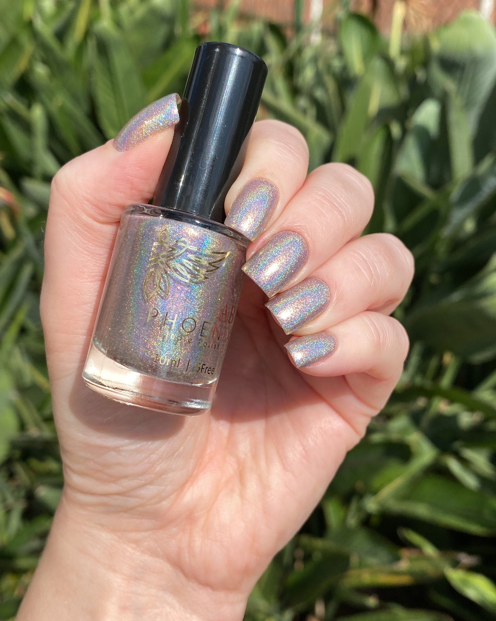 Phoenix- Paint the Town Red- Edward