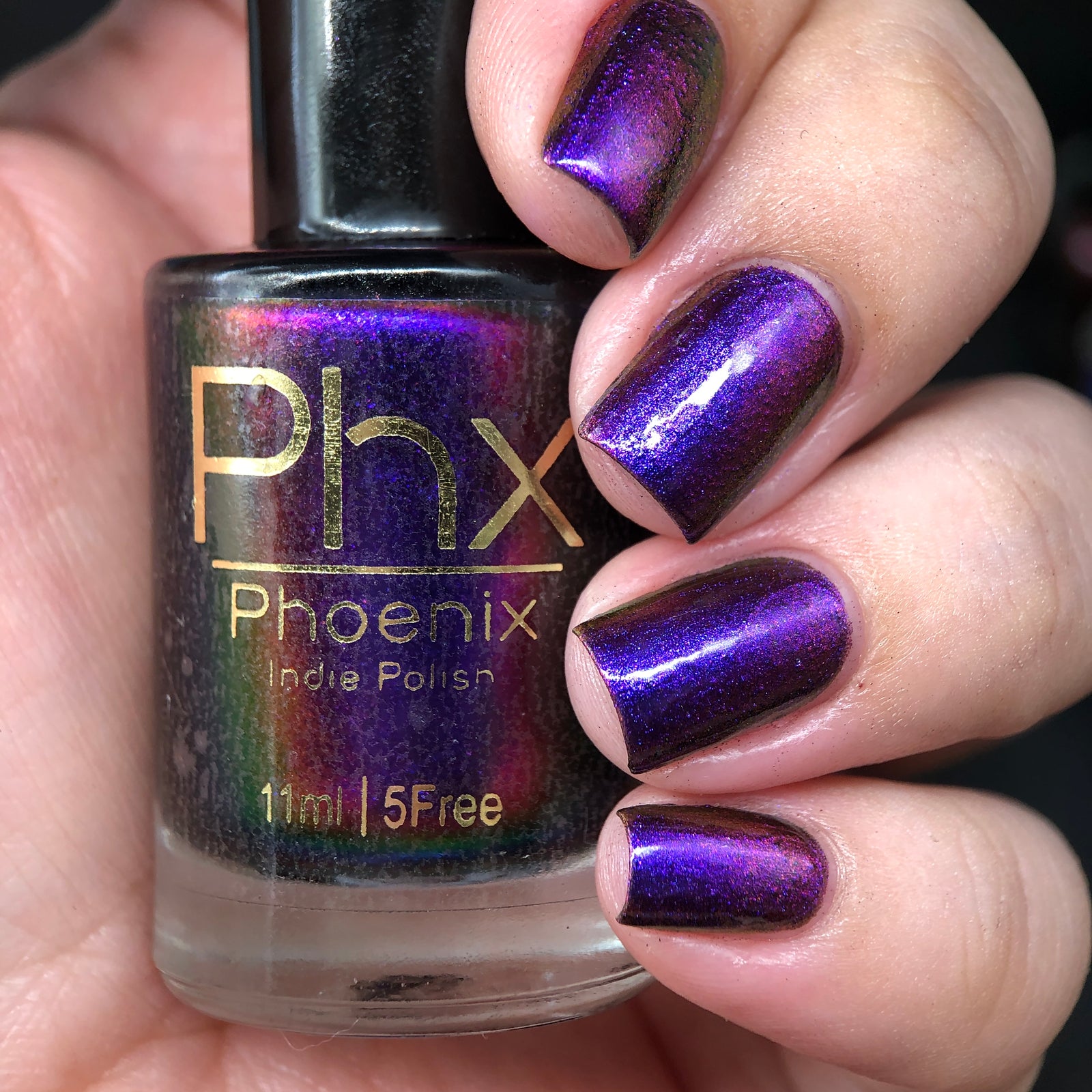 Phoenix- Hummingbirds- Costa's Hummingbird