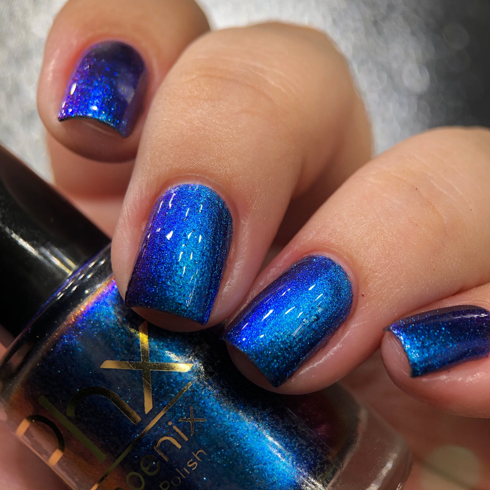 Phoenix- Hummingbirds- Florisuga Mellivora