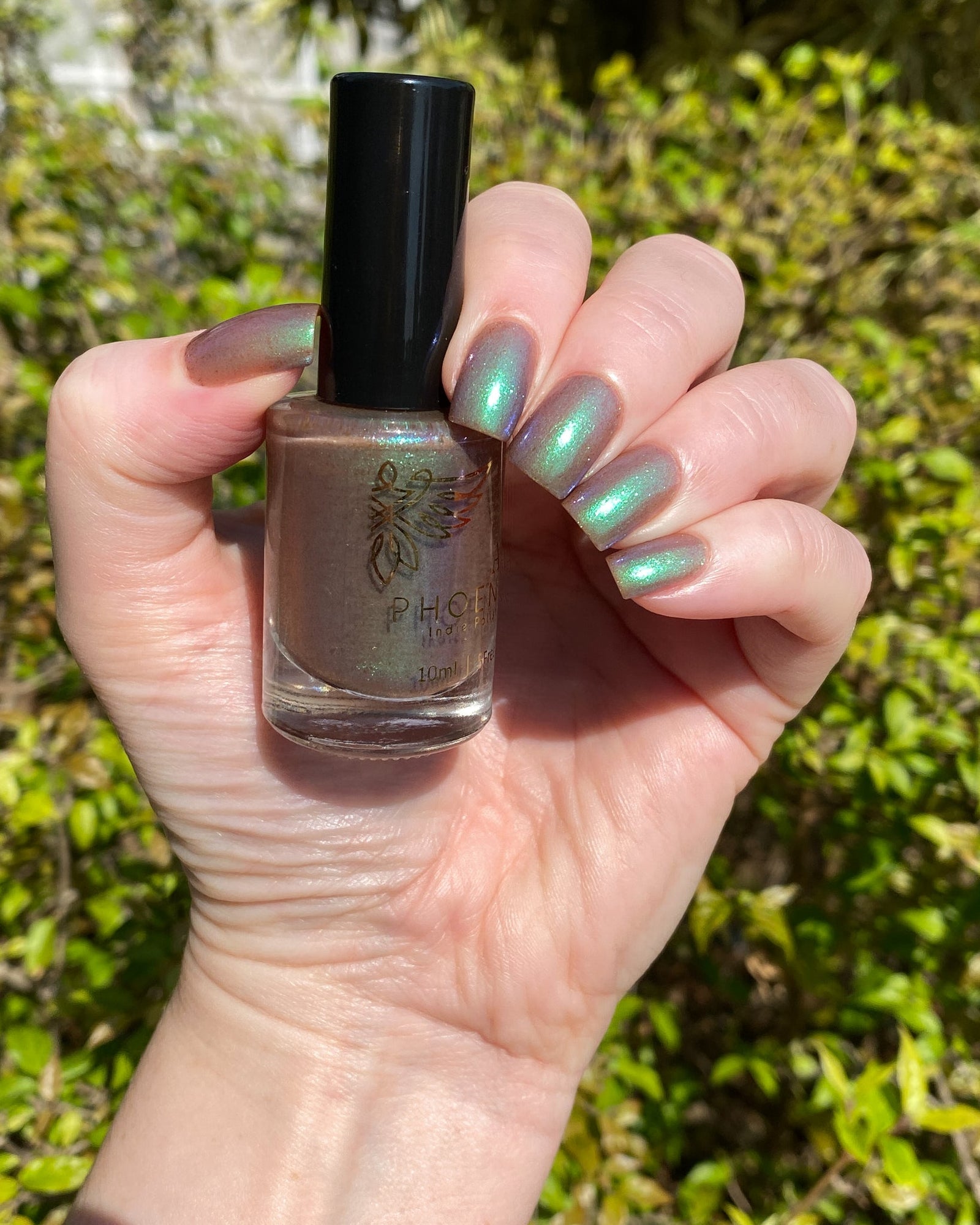 Phoenix- Paint the Town Red- Stefan