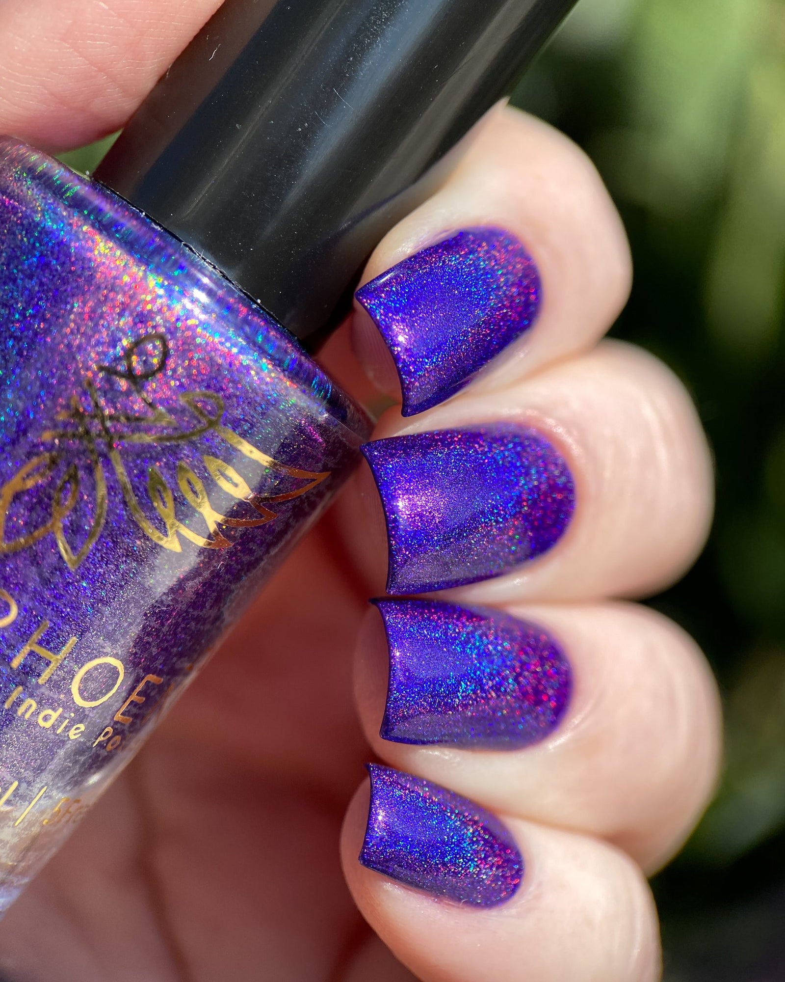 Phoenix- Paint the Town Red- Rebekah