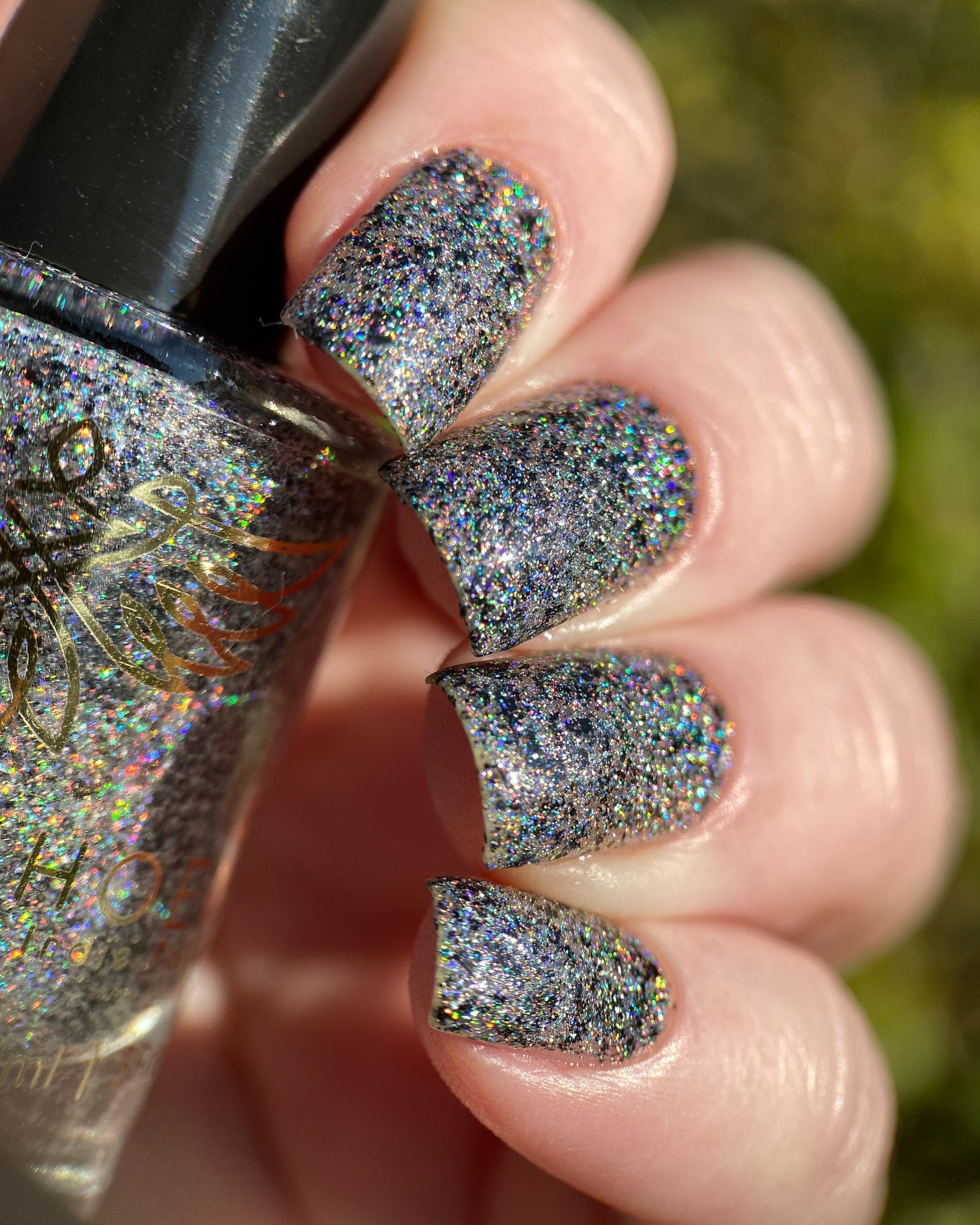 Phoenix- Paint the Town Red- Nosferatu