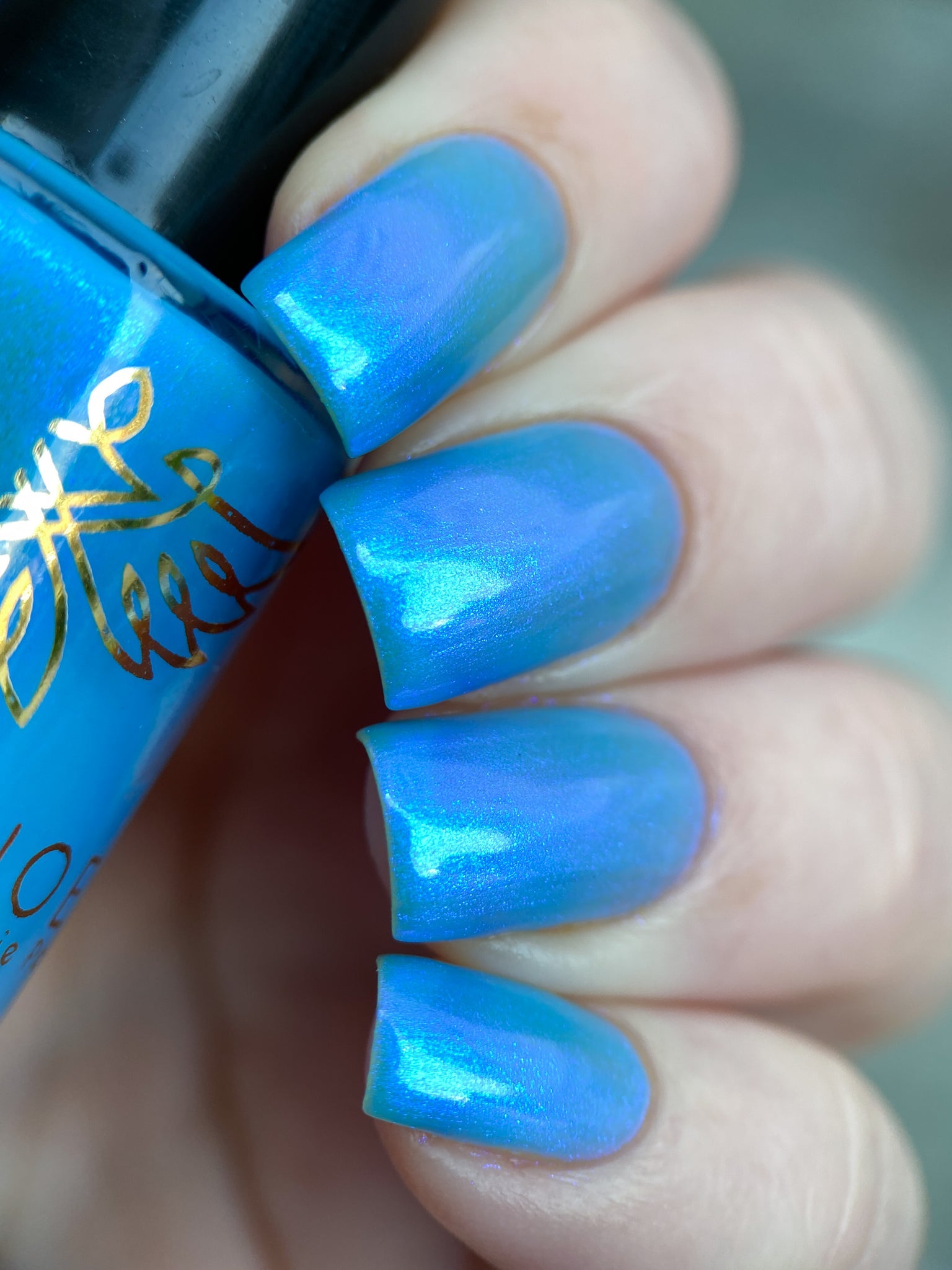 Phoenix- Paint the Town Red- Damon