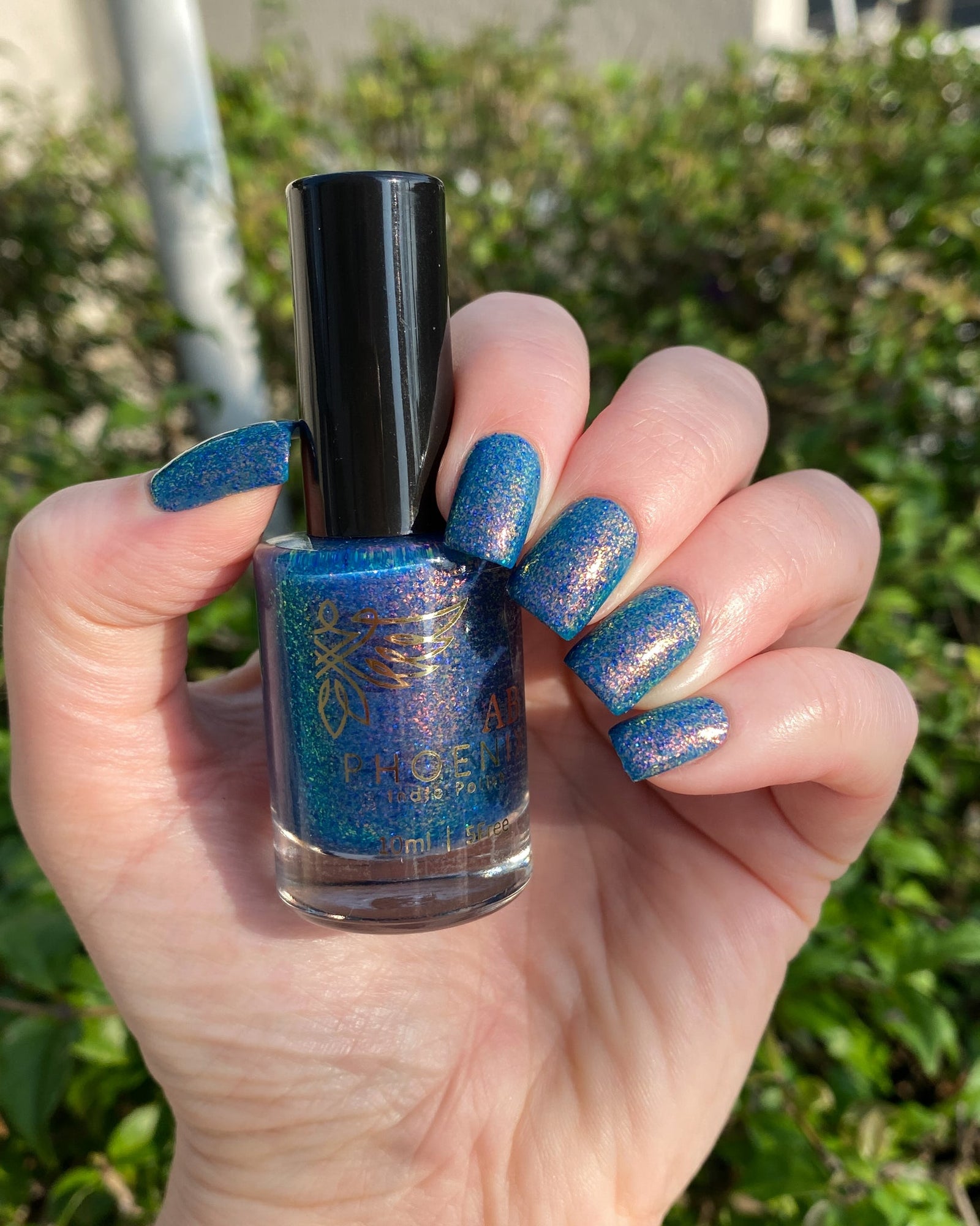 Phoenix- Paint the Town Red- Klaus